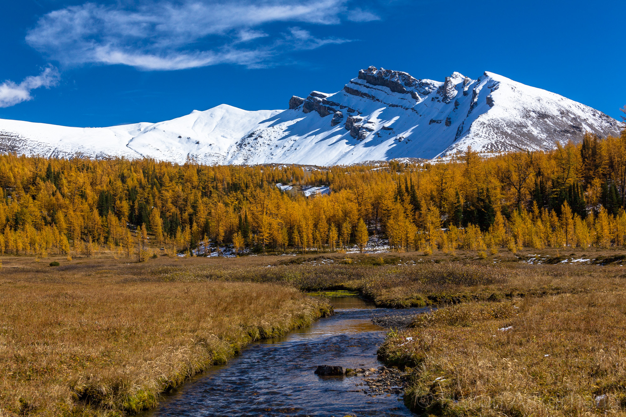 Canon EOS 5D Mark II + Canon EF 28-135mm F3.5-5.6 IS USM sample photo. Winter is near.... photography