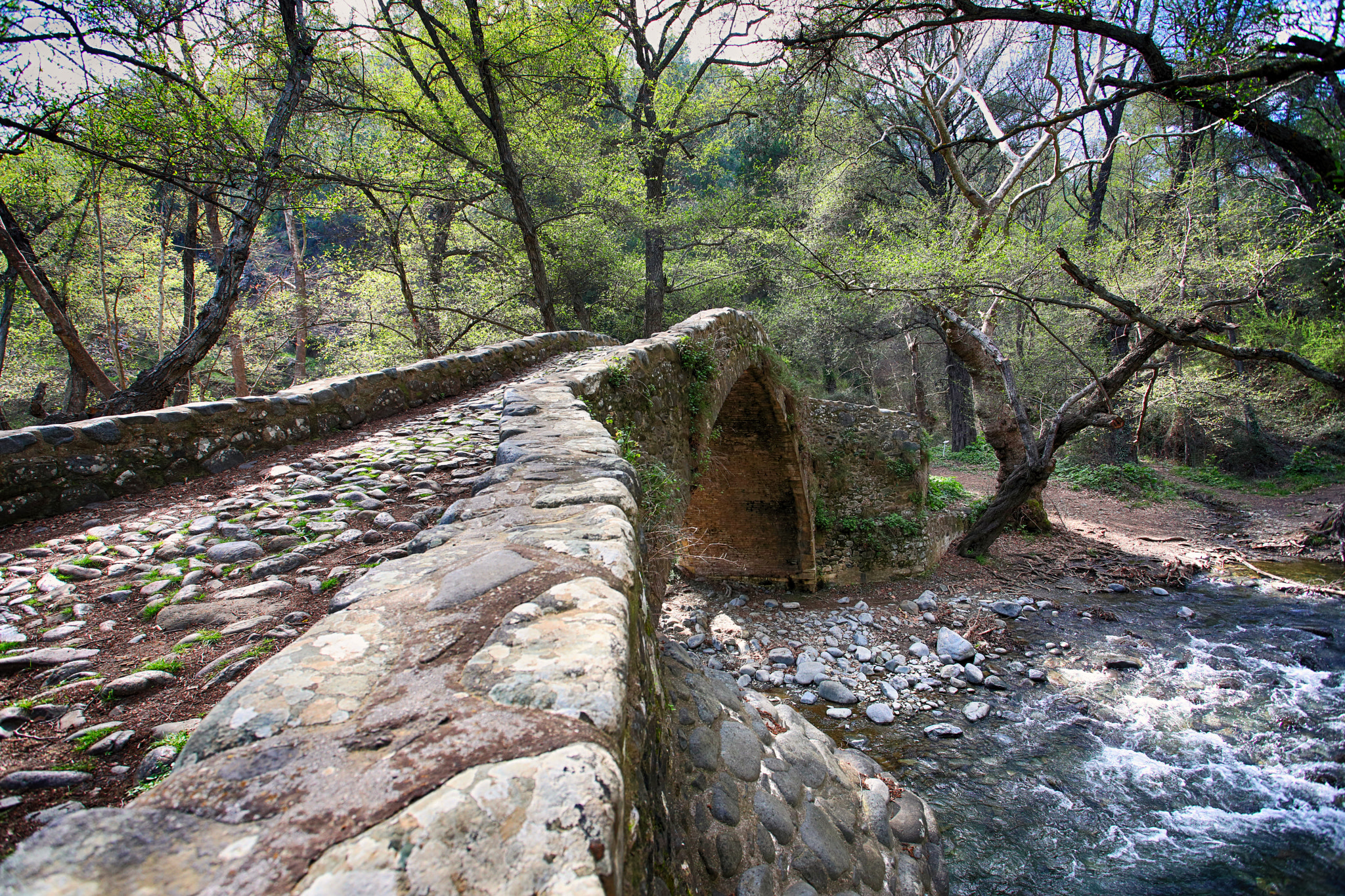 Canon EF 17-40mm F4L USM sample photo. Bridge photography