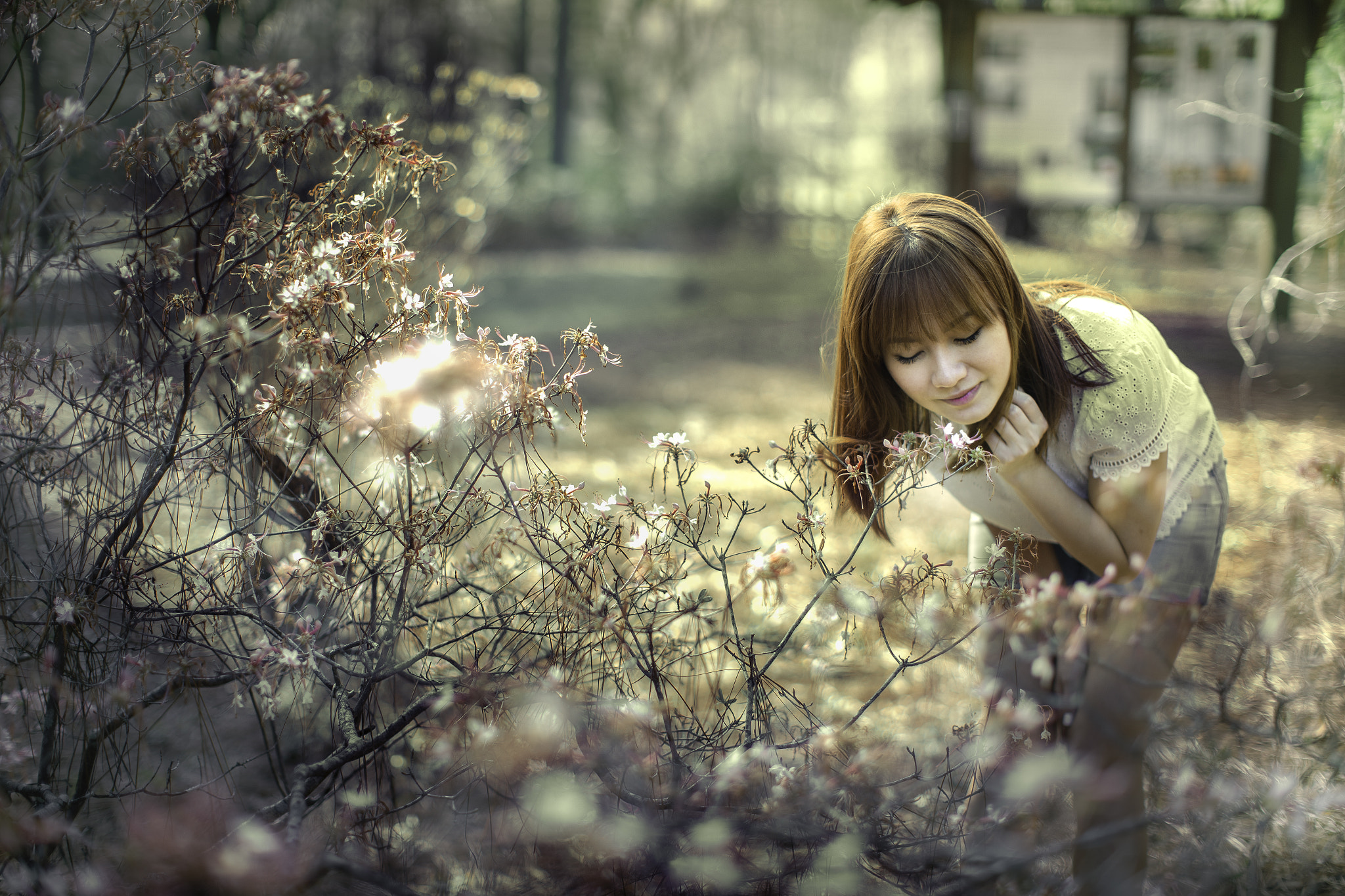 Canon EOS-1D C + Canon EF 50mm F1.2L USM sample photo. Looking photography
