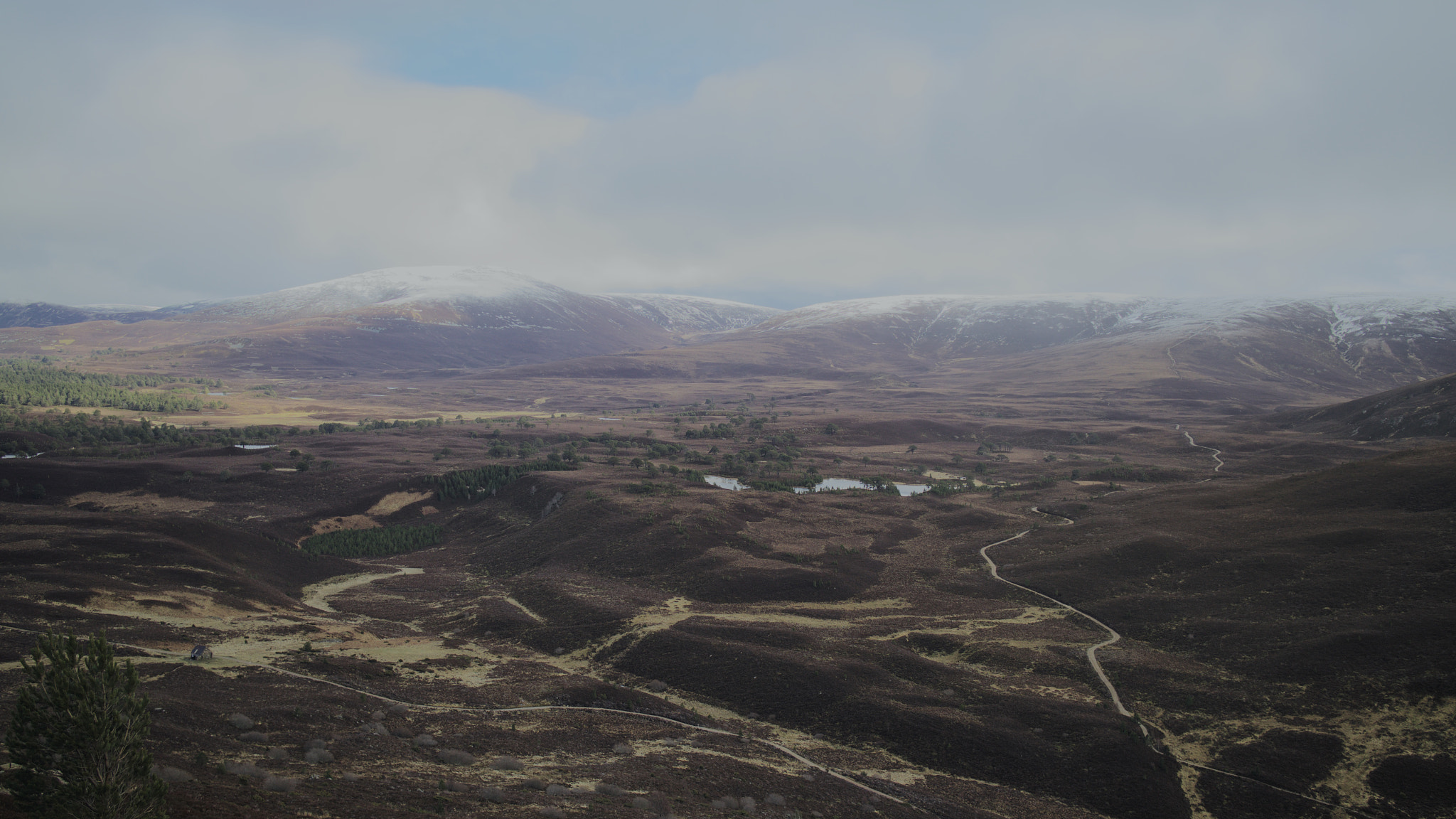 Canon EF-M 22mm F2 STM sample photo. Walk from loch morlich photography