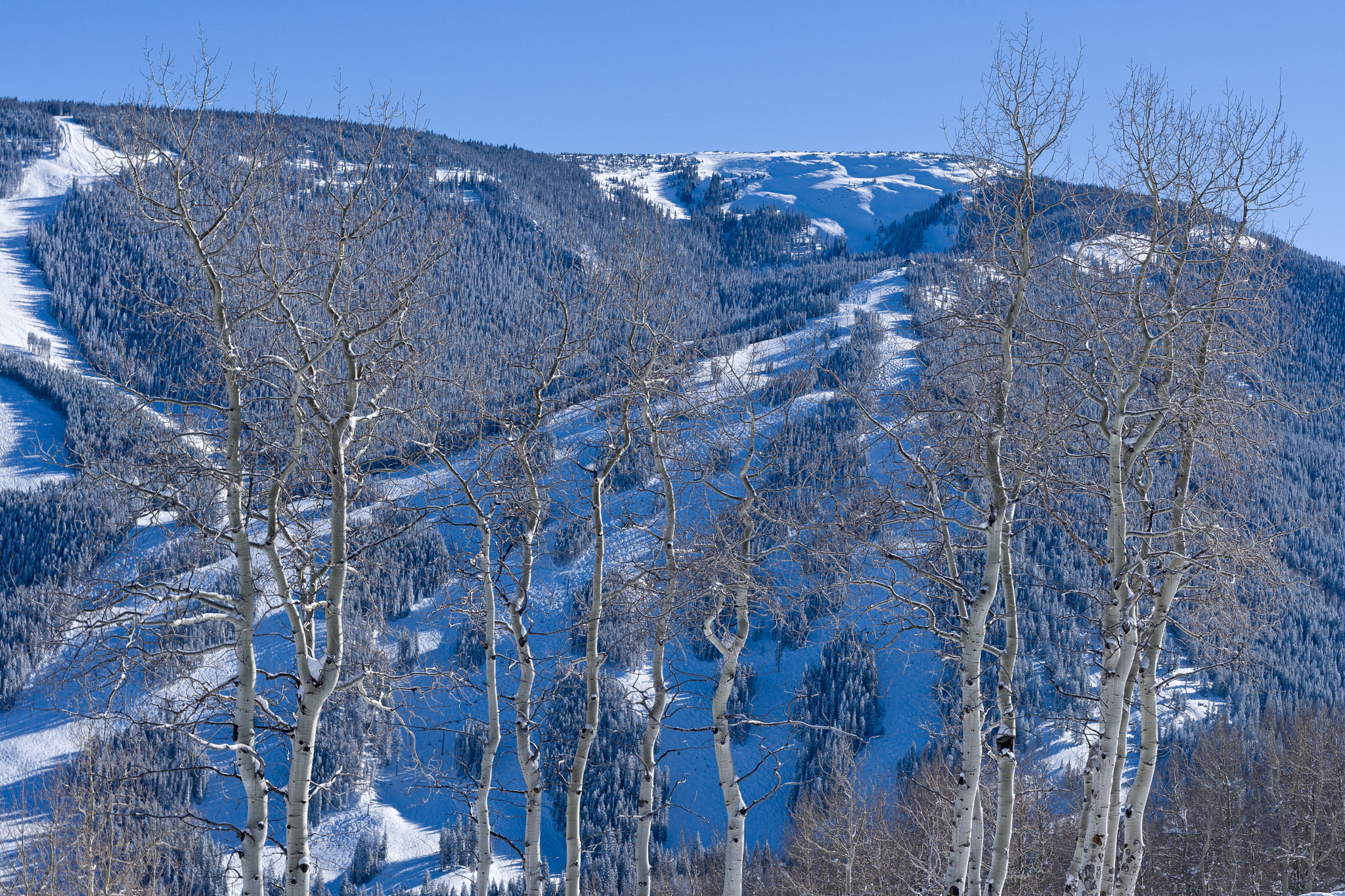 Sony a6300 sample photo. Beaver creek ski runs in winter photography