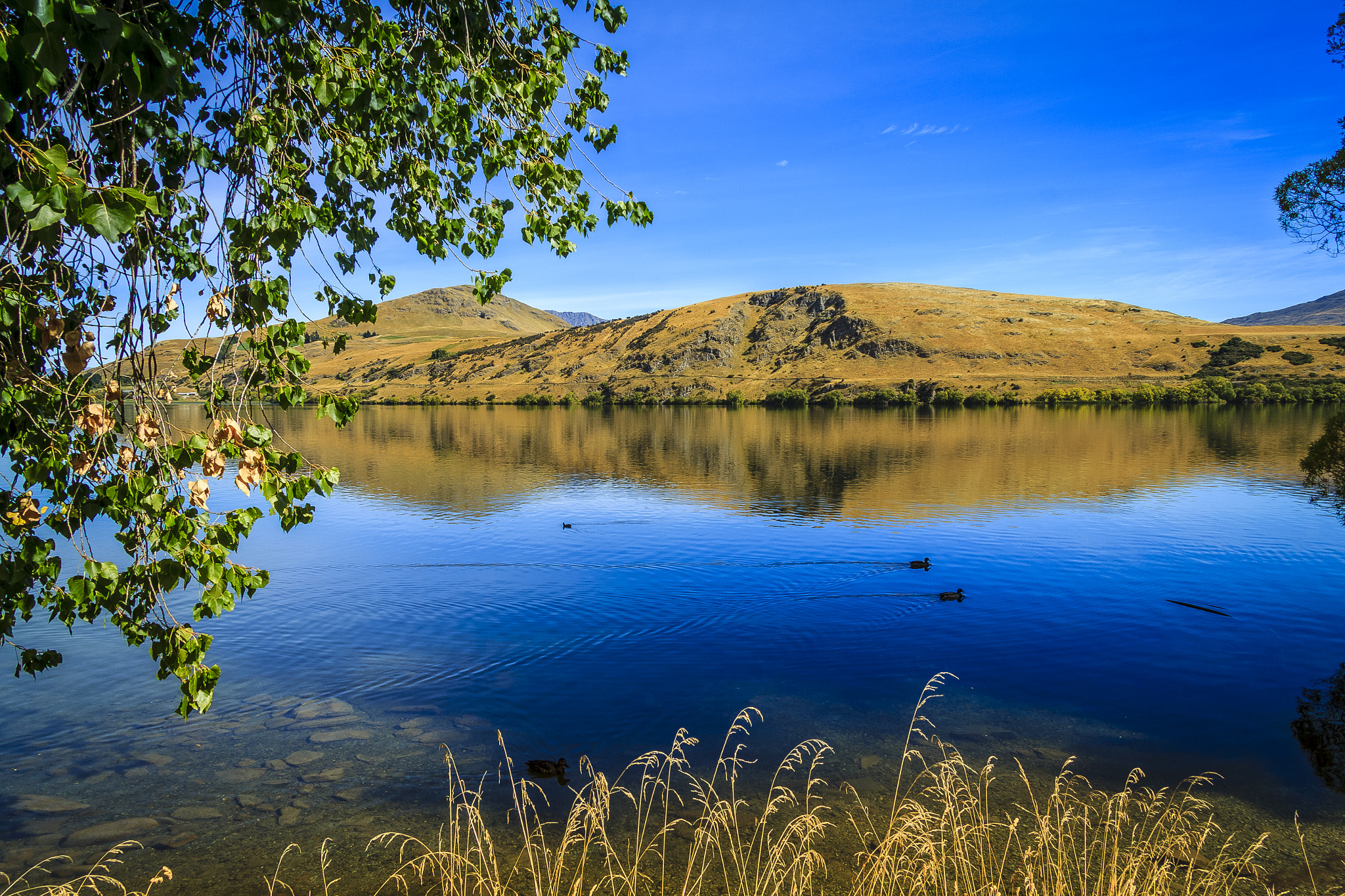 Canon EOS 60D + Canon EF-S 17-85mm F4-5.6 IS USM sample photo. A tranquil lake hayes photography