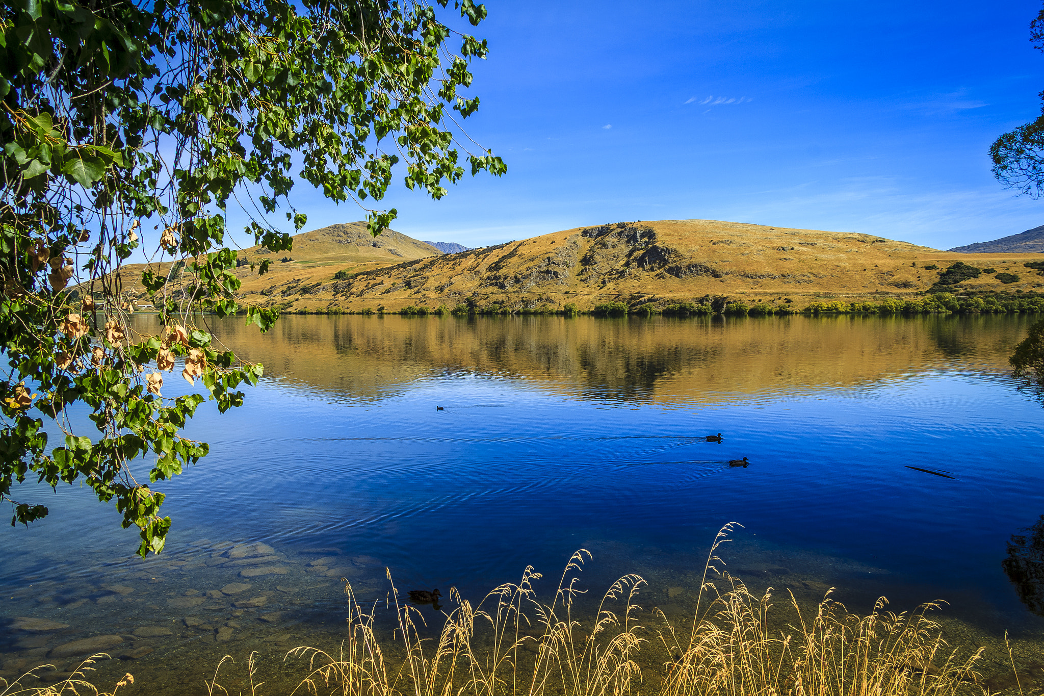 Canon EF-S 17-85mm F4-5.6 IS USM sample photo. A tranquil lake hayes photography