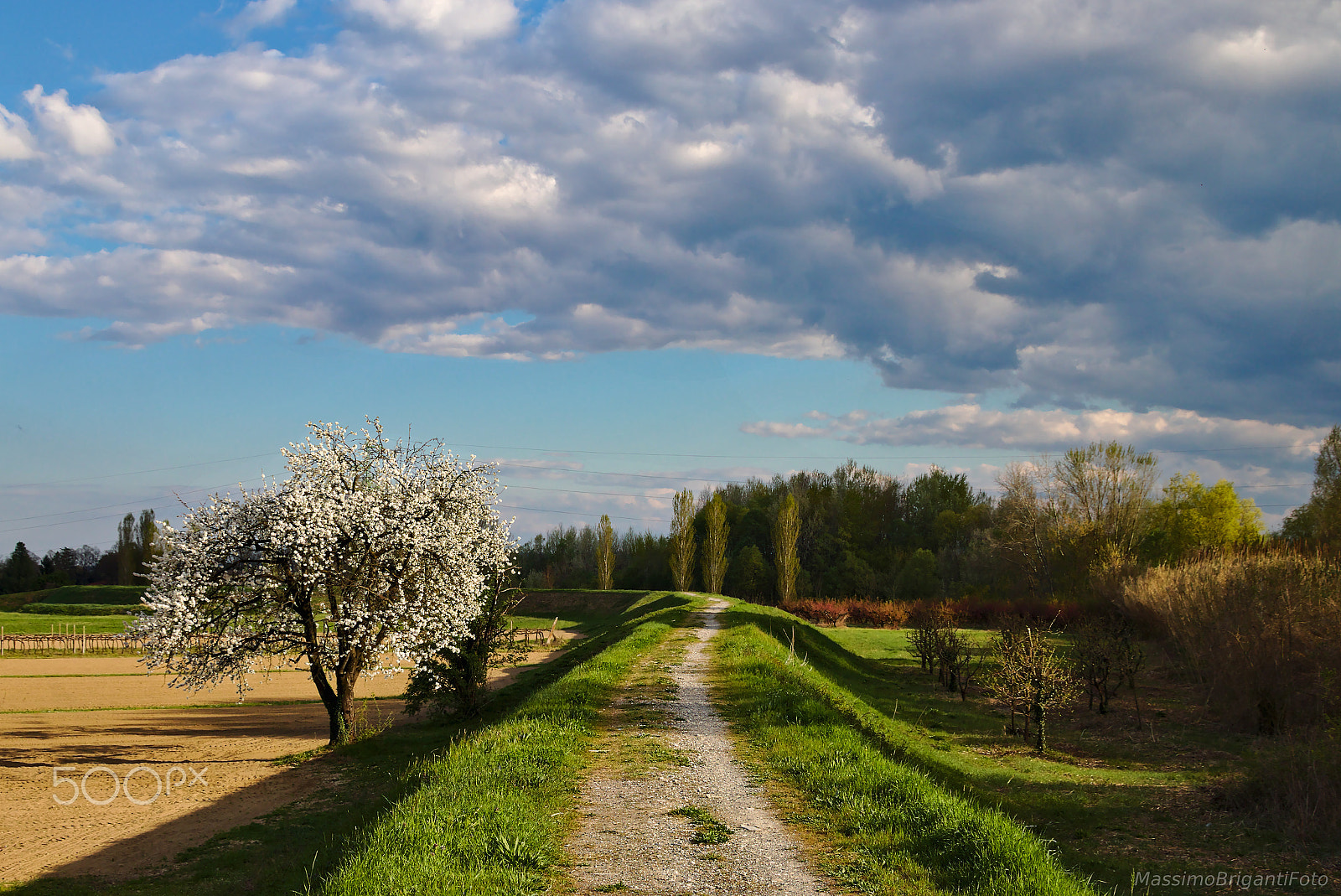 Canon EOS 70D + Canon TS-E 90mm F2.8 Tilt-Shift sample photo. Contrasti primaverili photography