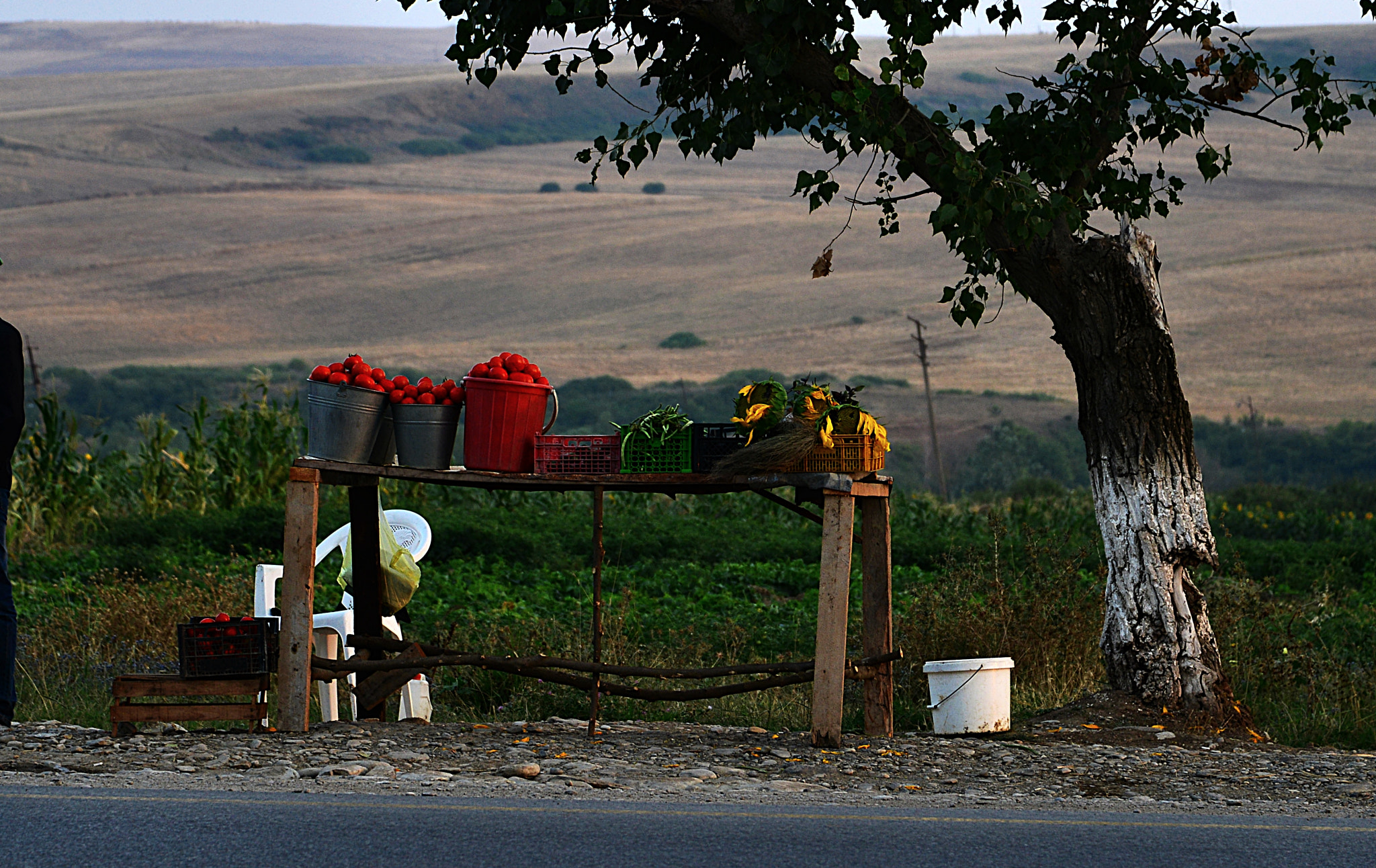Nikon D800 sample photo. Köy hayatı photography