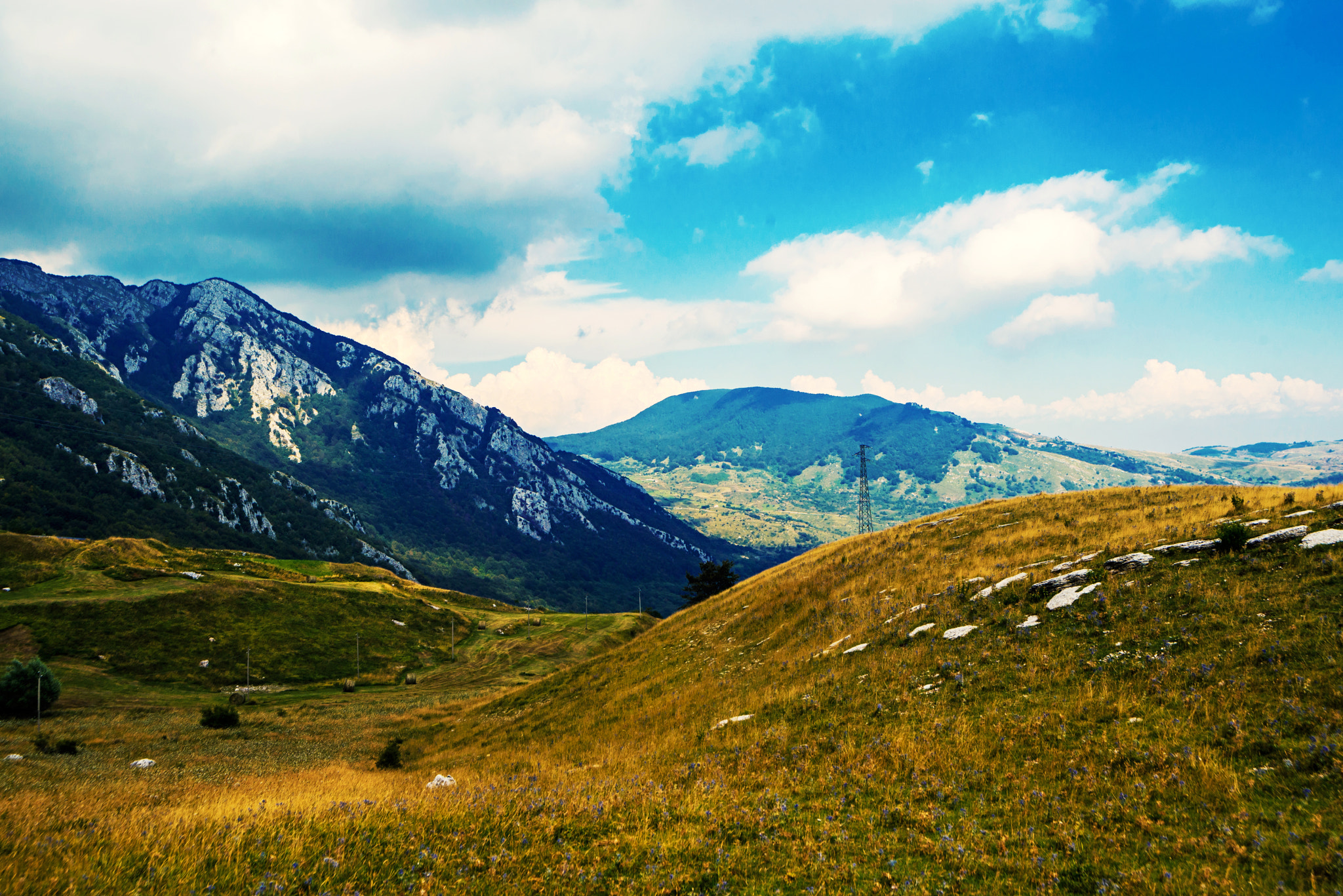 Nikon D600 sample photo. Mountains and meadows photography