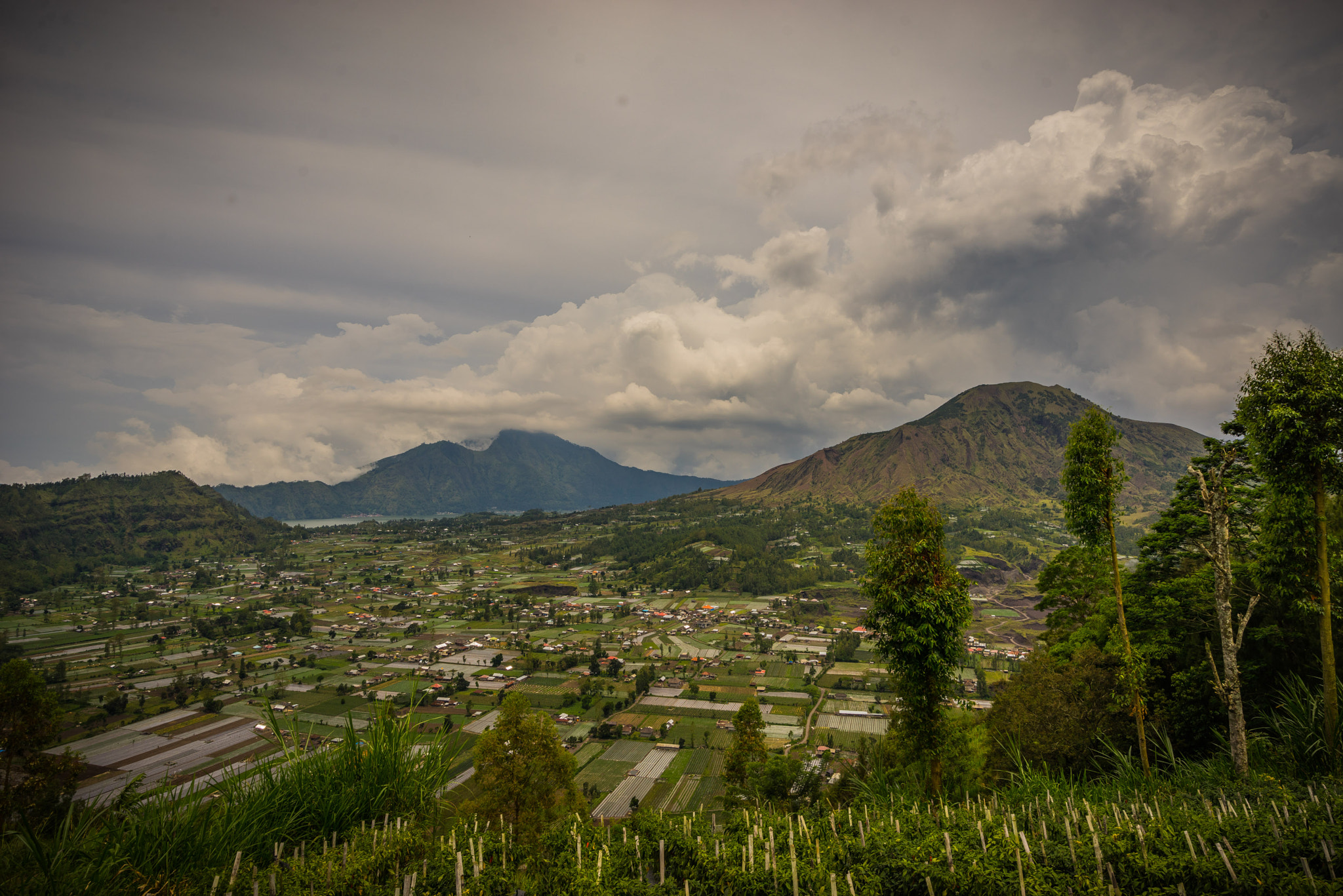 Sony a7R + Sony Vario-Tessar T* FE 16-35mm F4 ZA OSS sample photo. Gg. arjuna pinggan kintamani photography
