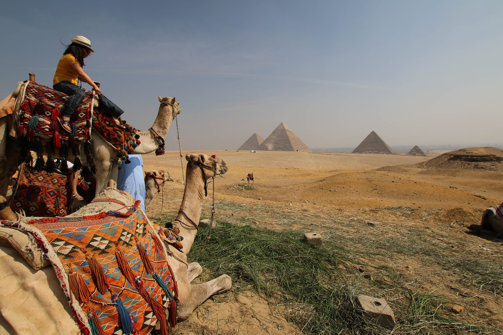 Sigma 10-20mm F3.5 EX DC HSM sample photo. Camel ride at giza photography