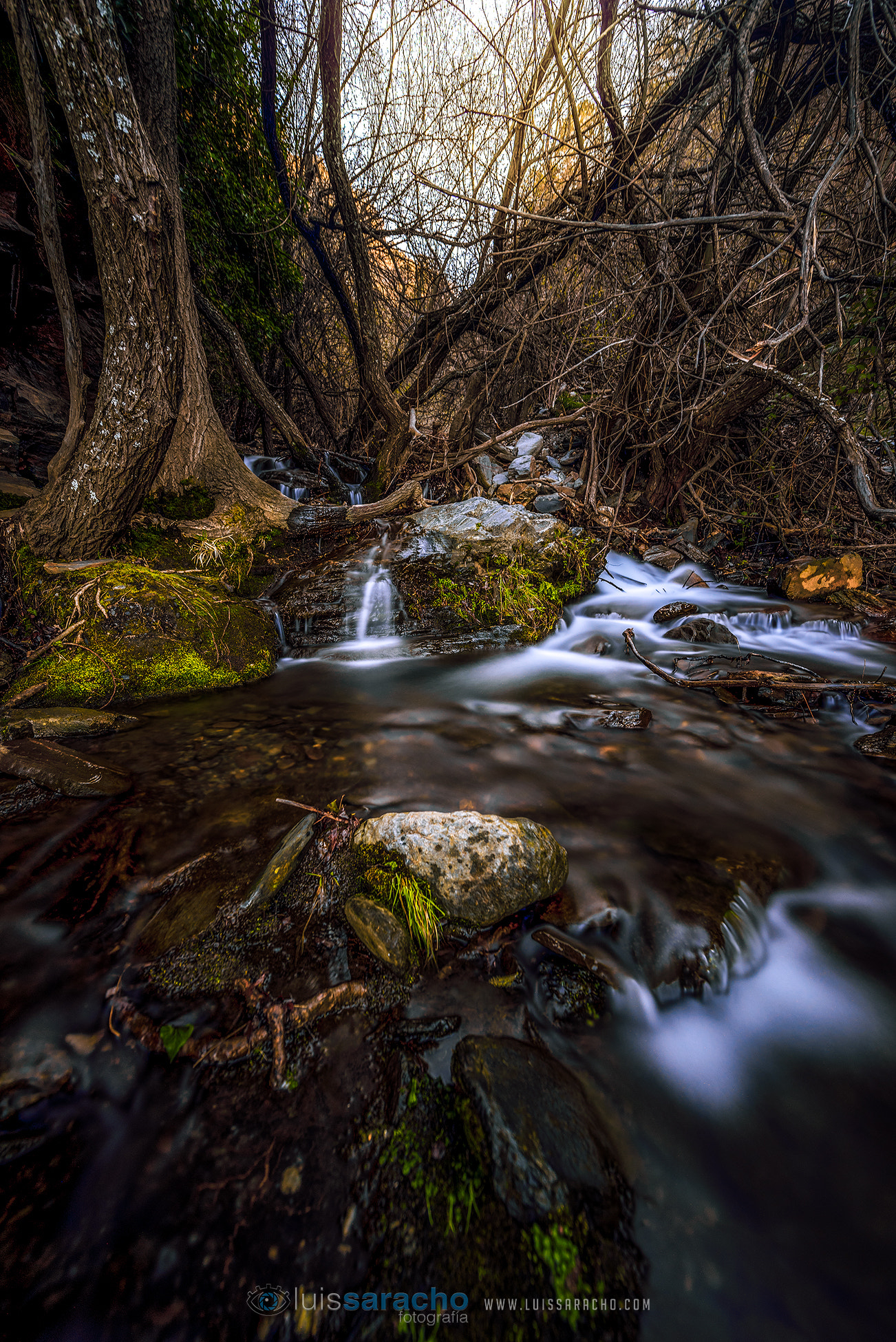 Nikon AF-S Nikkor 14-24mm F2.8G ED sample photo. Abrucena photography