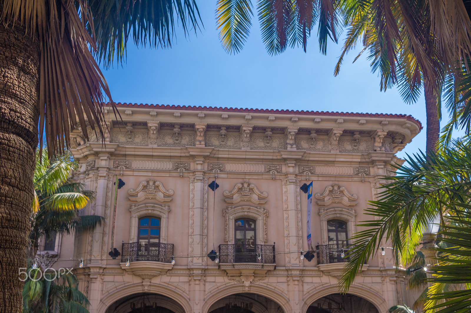 Canon EOS 760D (EOS Rebel T6s / EOS 8000D) sample photo. Palm borders, from balboa park photography