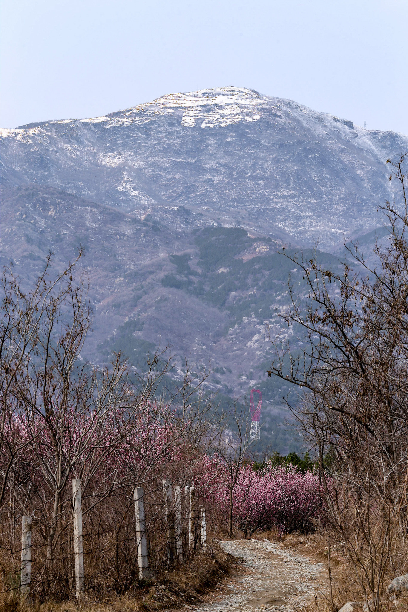 Canon EOS 6D + Canon EF 135mm F2L USM sample photo