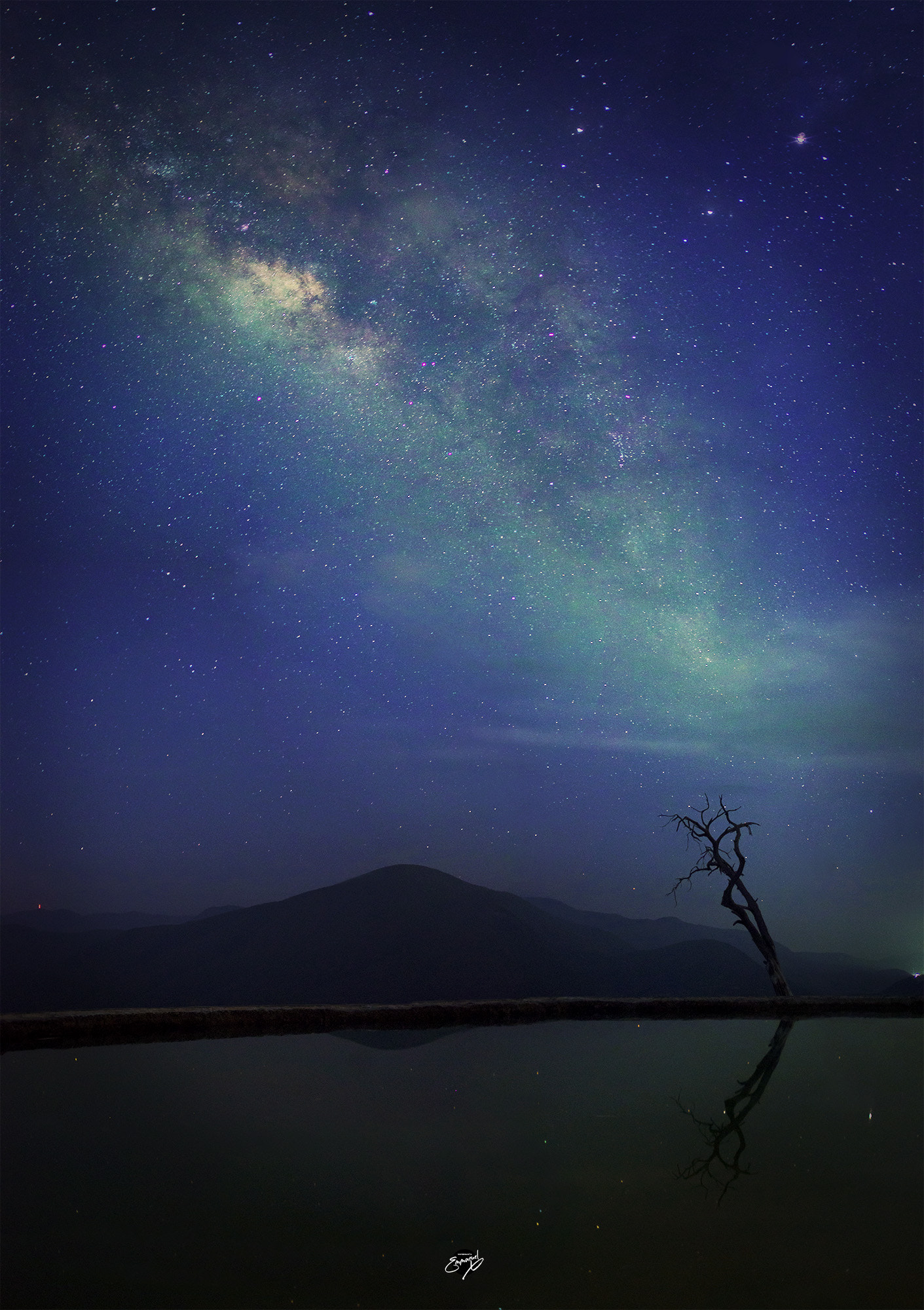 AF Zoom-Nikkor 28-105mm f/3.5-4.5D IF sample photo. Arbol estelar photography