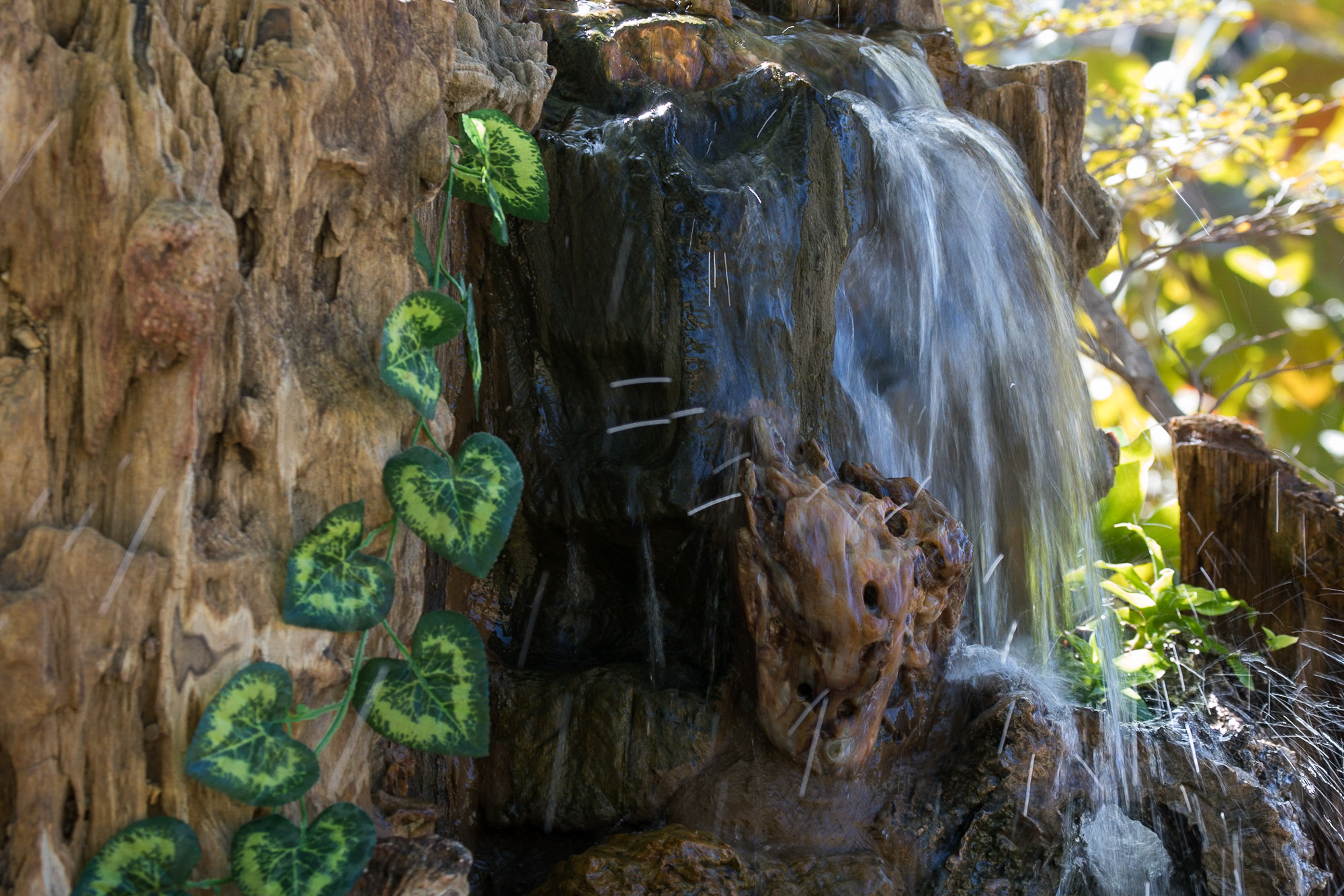 Canon EF 70-300mm F4-5.6L IS USM sample photo
