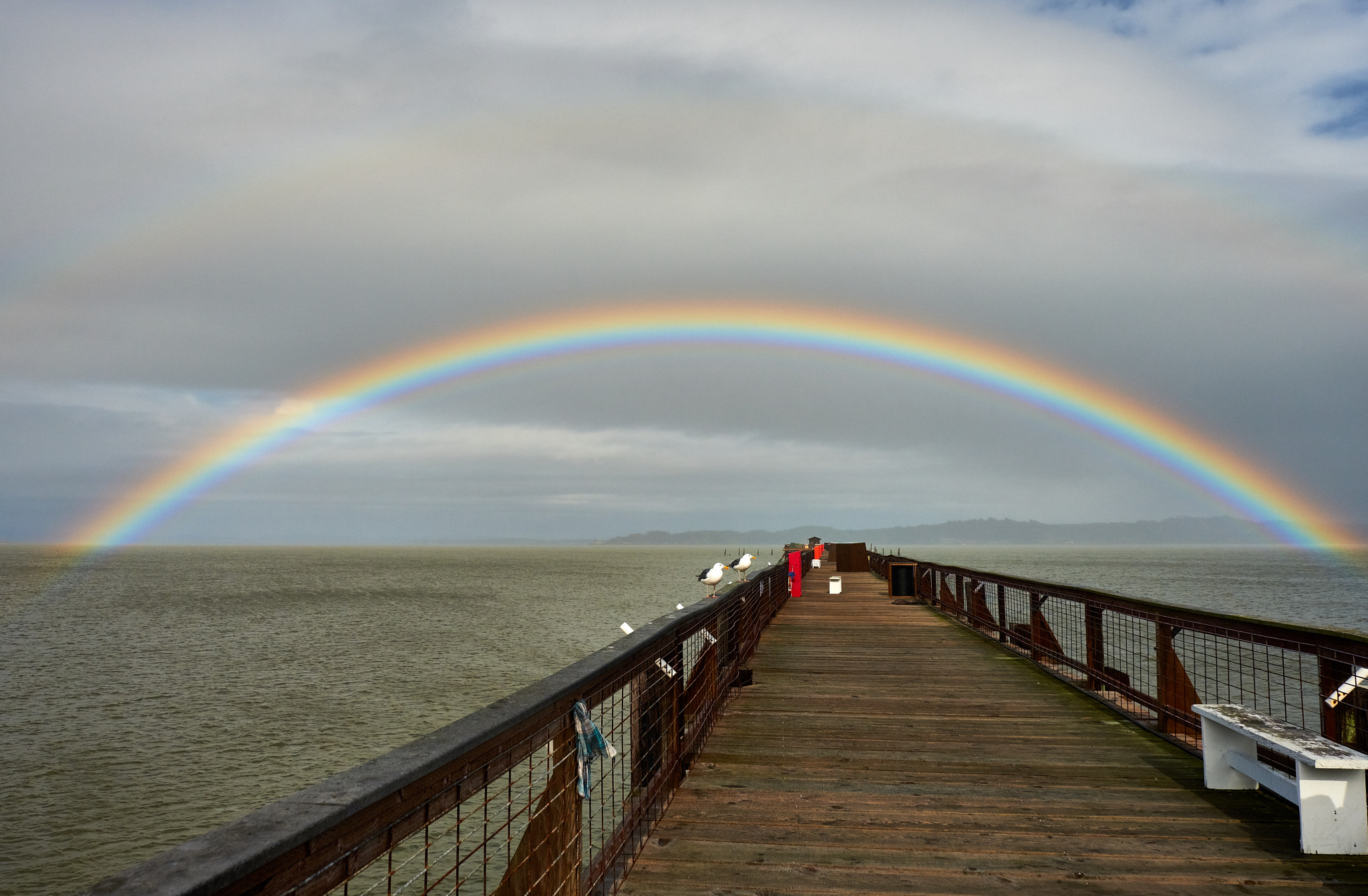 Fujifilm X-Pro2 + Fujifilm XF 16-55mm F2.8 R LM WR sample photo. Two birds and a rainbow photography