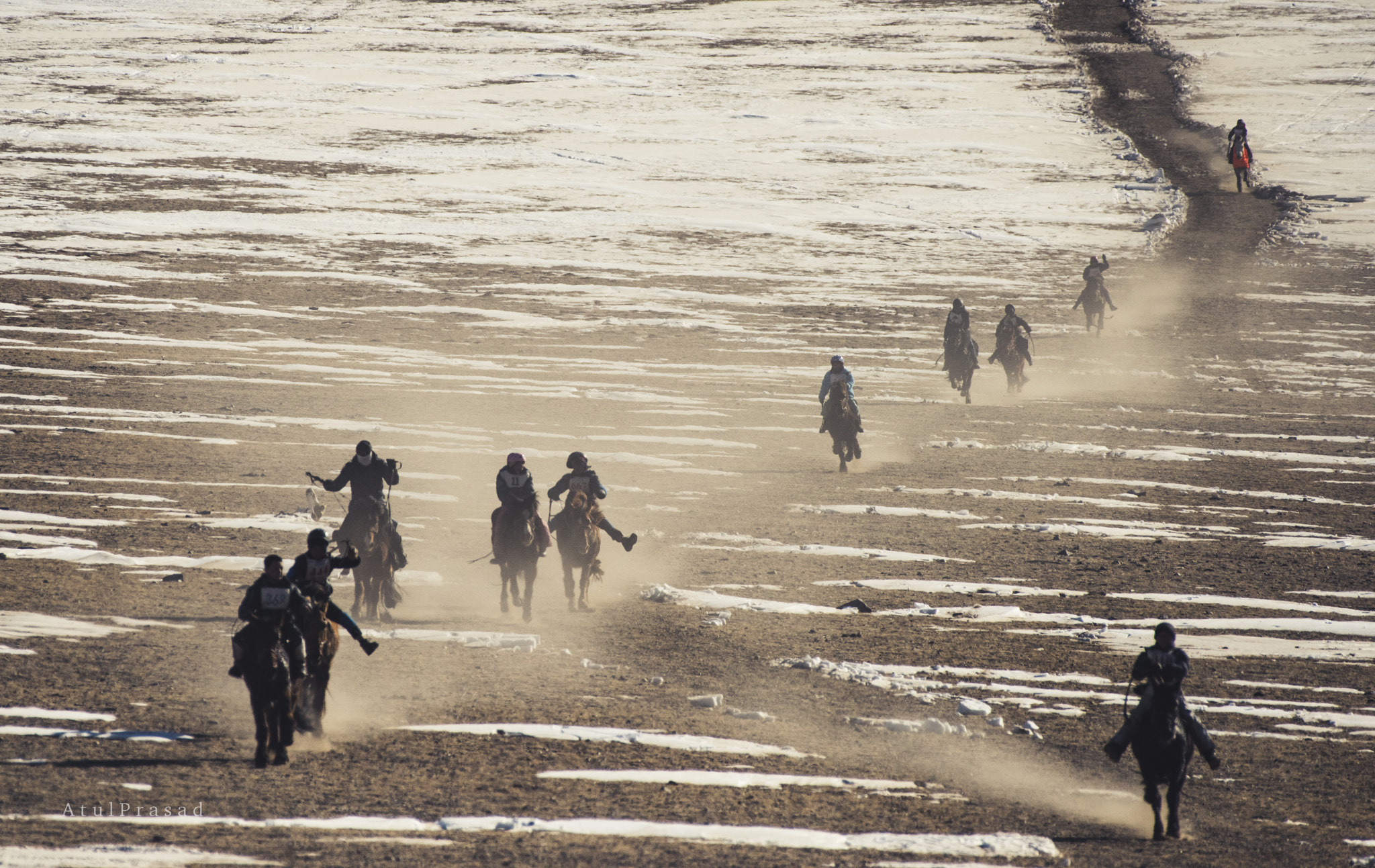 Nikon AF-S Nikkor 200-500mm F5.6E ED VR sample photo. Horse racing in mongolia photography