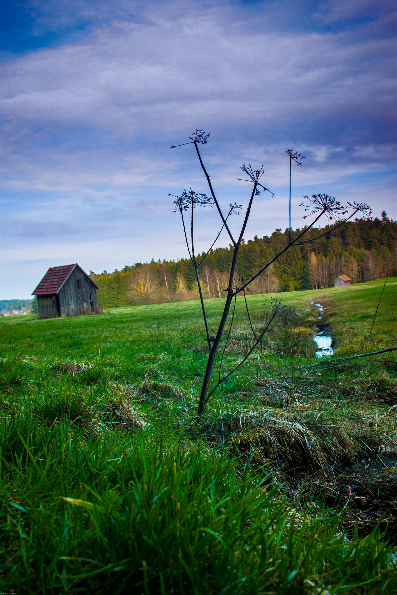 Canon EF-S 18-55mm F3.5-5.6 II sample photo. Habichtsfang oberreichenbach photography