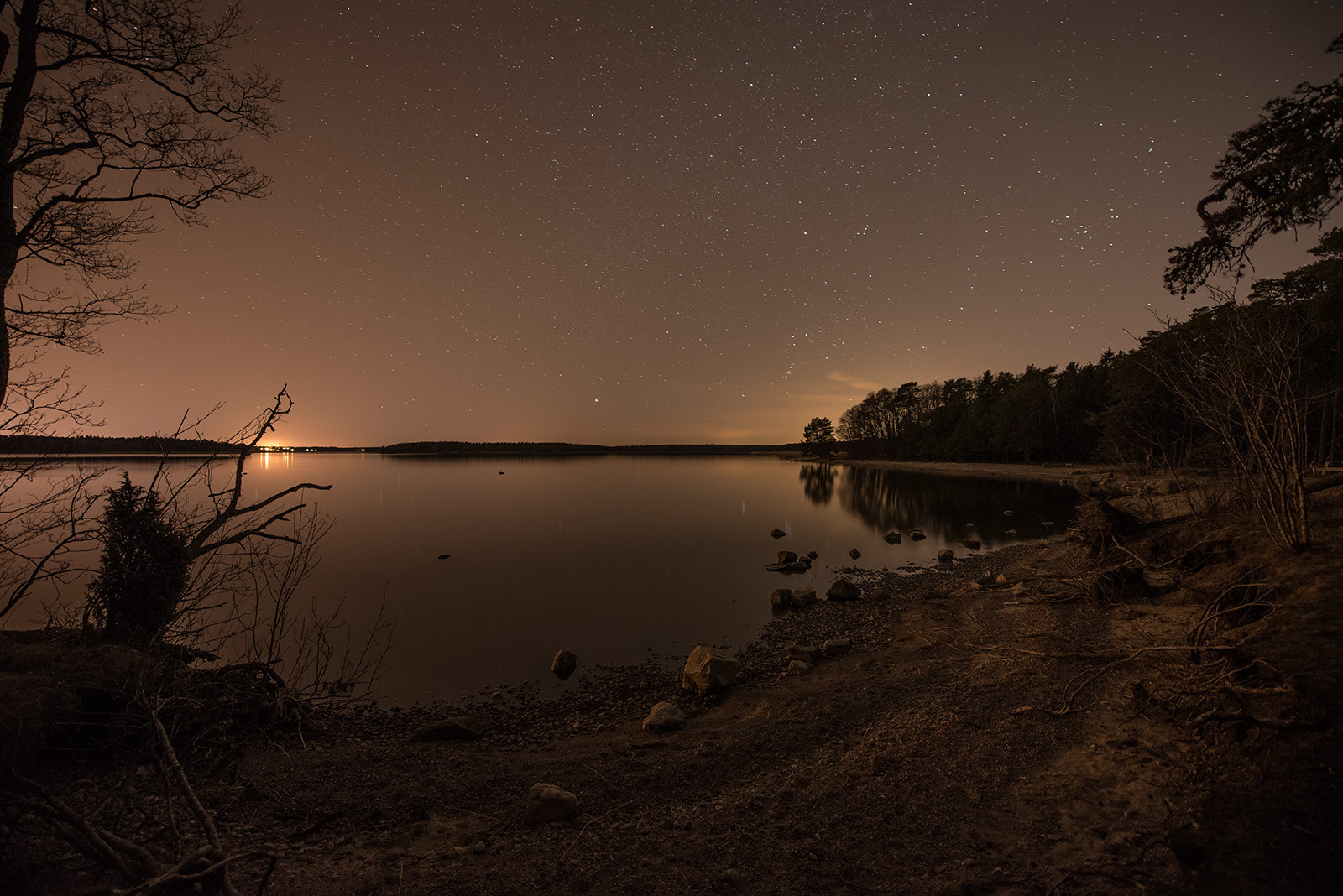 Nikon D750 + Nikon AF-S Nikkor 14-24mm F2.8G ED sample photo. Night photography