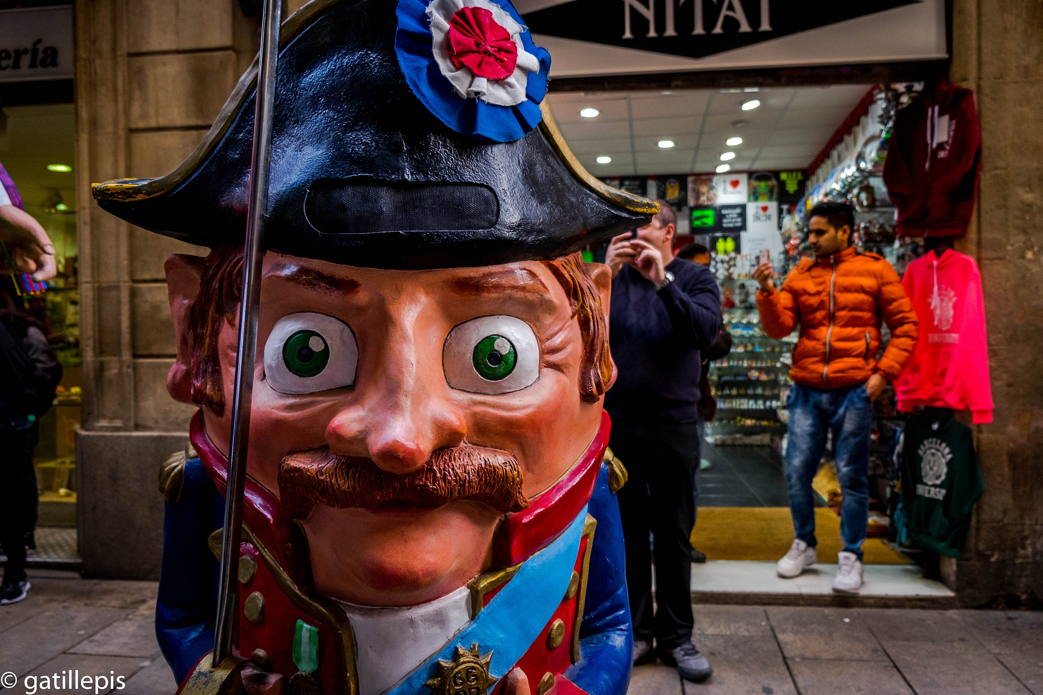 Fujifilm XF 18-55mm F2.8-4 R LM OIS sample photo. Capgròs (literally 'bighead' in catalan) photography