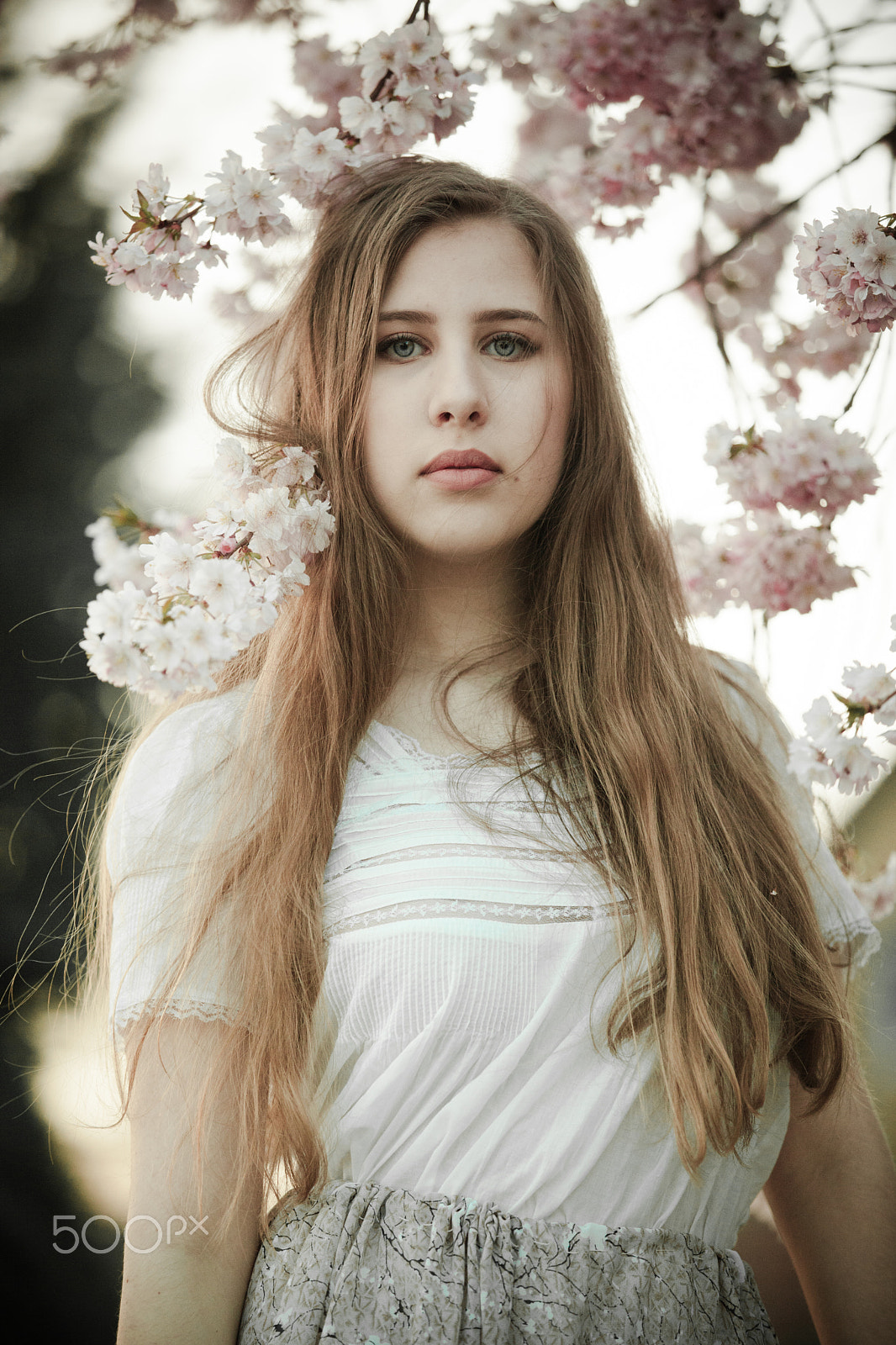 Canon EF 70-200mm F2.8L IS II USM sample photo. Sakura 1 photography
