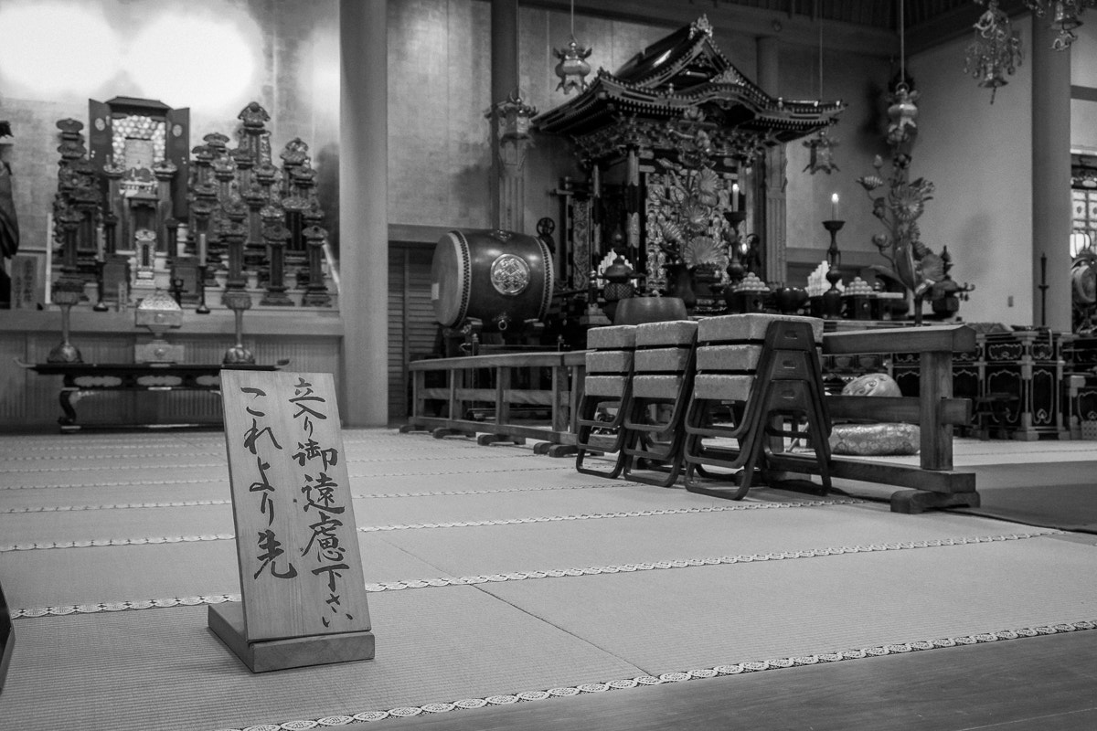Fujifilm X-E1 + Fujifilm XF 18-55mm F2.8-4 R LM OIS sample photo
