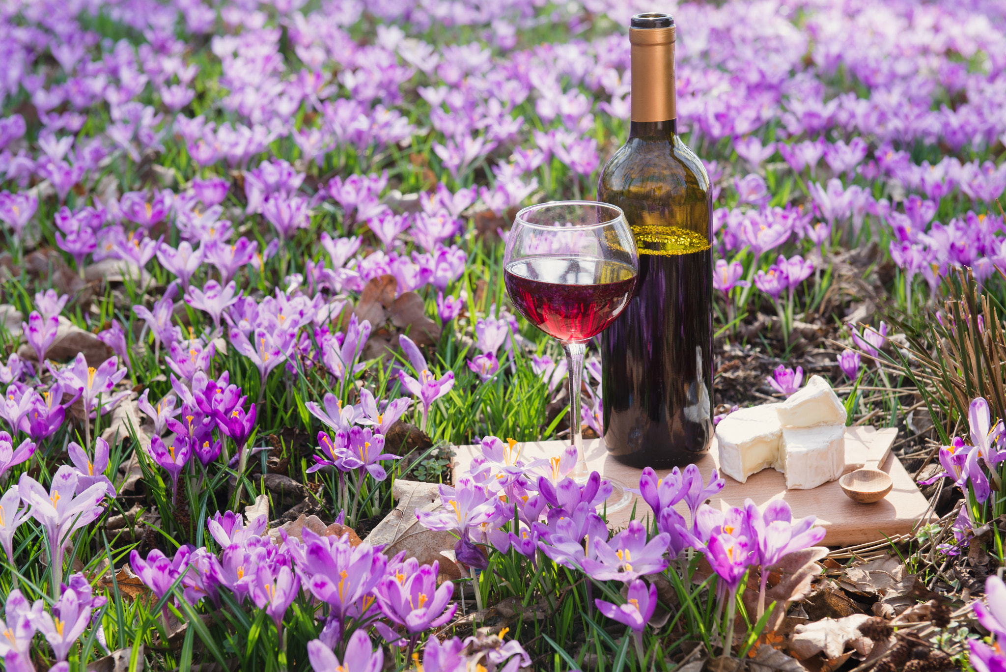 Nikon AF-S Nikkor 24-70mm F2.8G ED sample photo. Romantic dinner with red wine and cheese photography