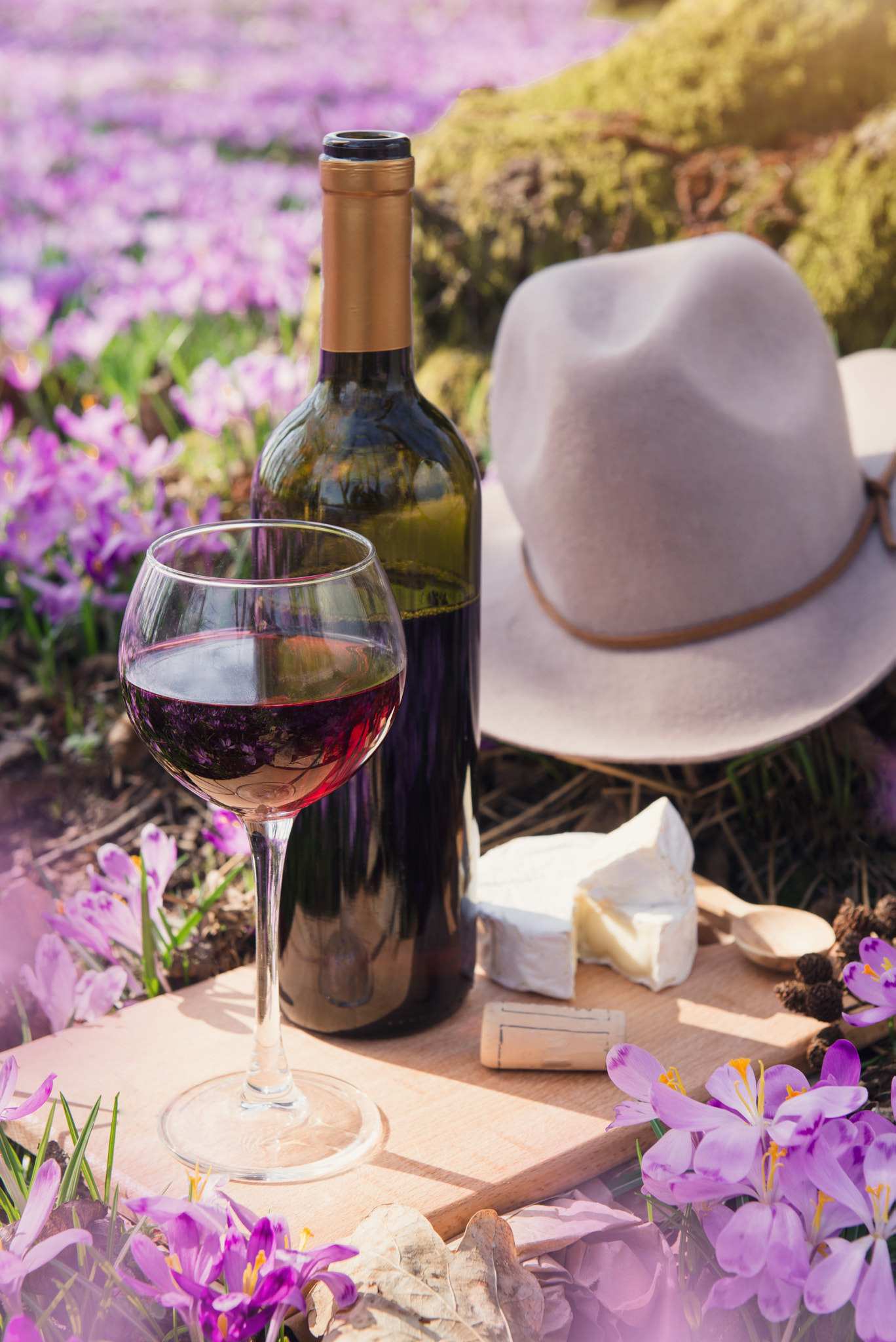 Nikon AF-S Nikkor 24-70mm F2.8G ED sample photo. Romantic dinner with red wine and cheese photography