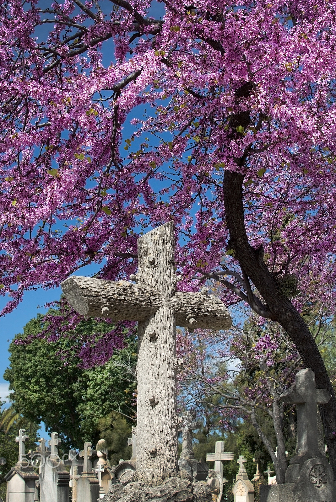 Nikon D7100 + AF Zoom-Nikkor 35-135mm f/3.5-4.5 sample photo. Palma cemetery crosses photography