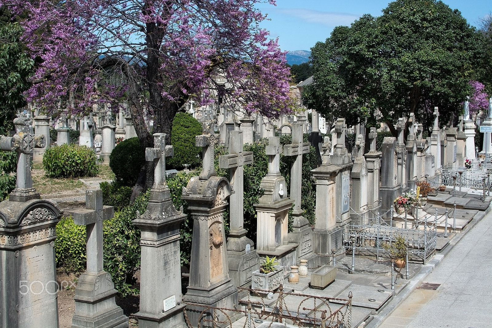 FSA-L2, EDG 65, 800mm F13 G sample photo. Palma cemetery crosses photography
