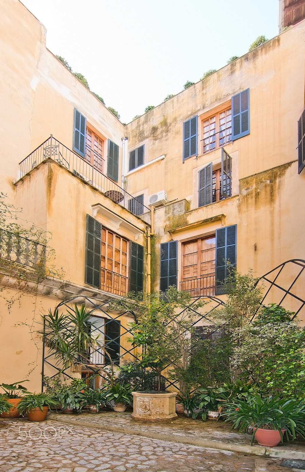 AF Zoom-Nikkor 28-80mm f/3.5-5.6D sample photo. Typical palma courtyard photography