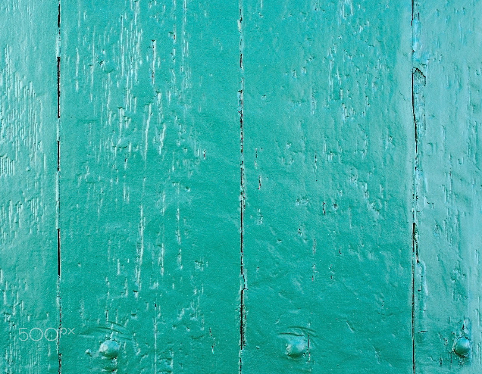 Nikon D7100 sample photo. Grungy green painted background photography