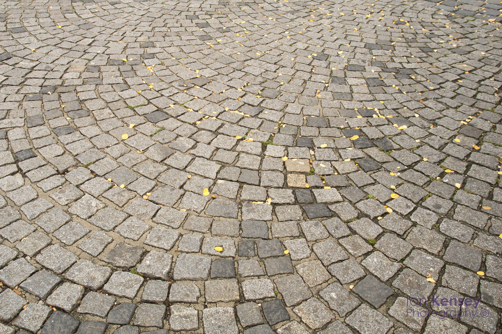 Sony ILCA-77M2 + Tamron SP AF 17-50mm F2.8 XR Di II LD Aspherical (IF) sample photo. The radiant cobblestones photography