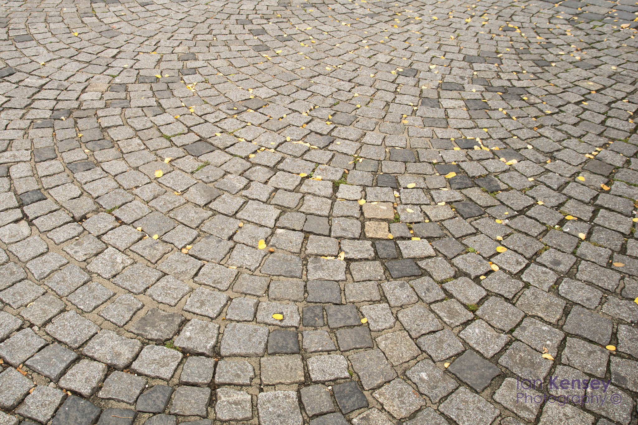Sony ILCA-77M2 sample photo. The radiant cobblestones photography