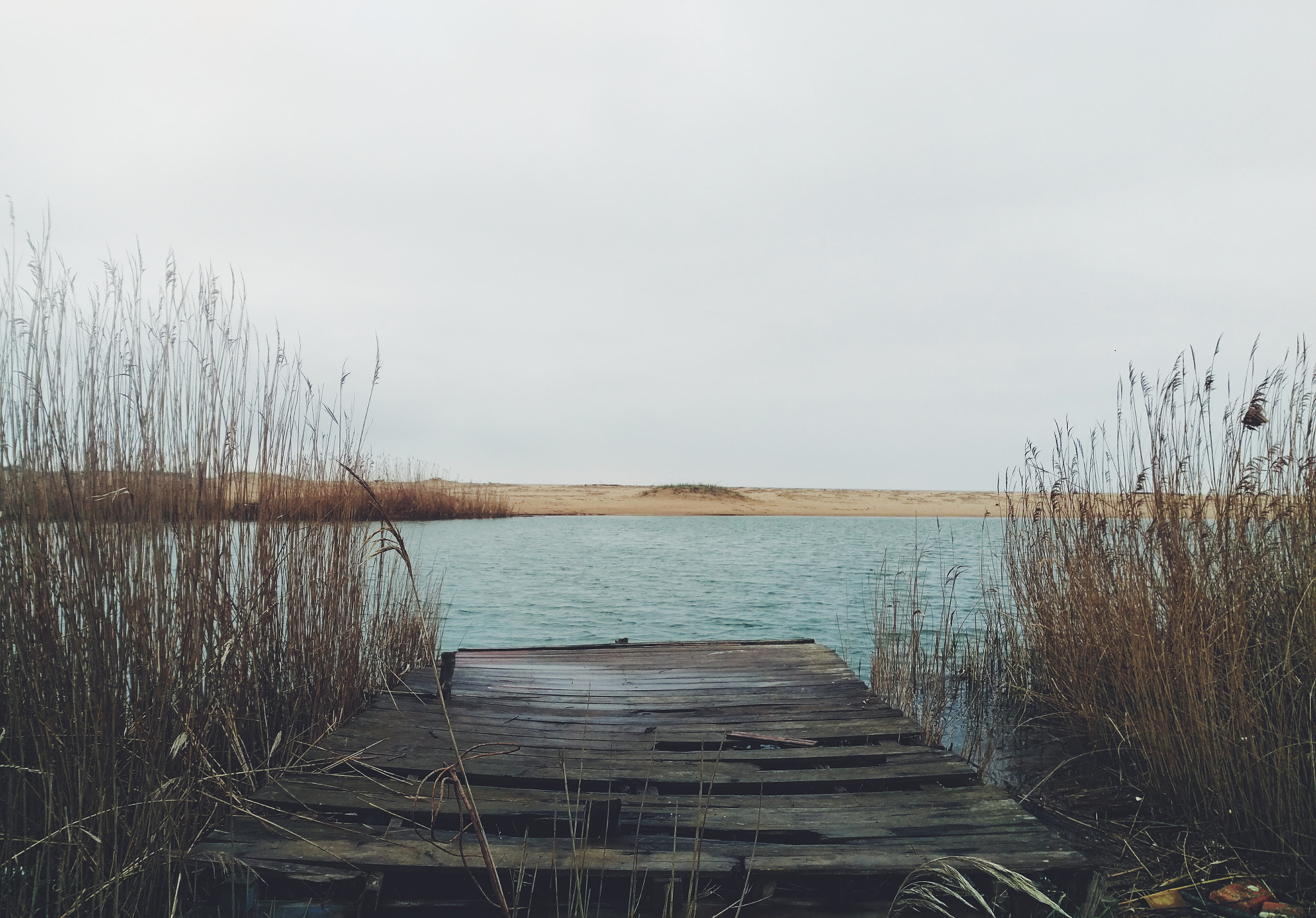 HTC M9 sample photo. A. photography