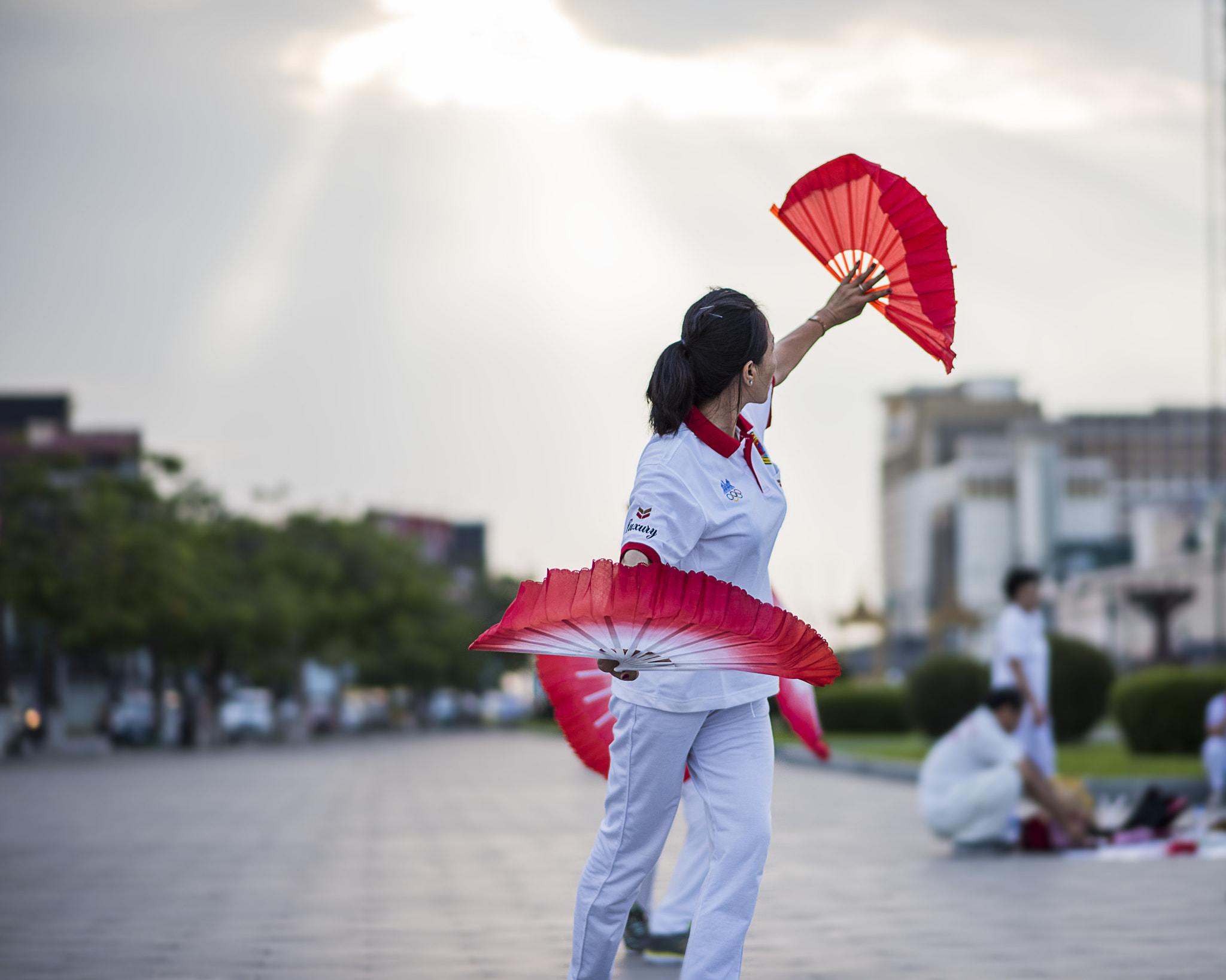 Nikon D810 sample photo. Lady with fan photography