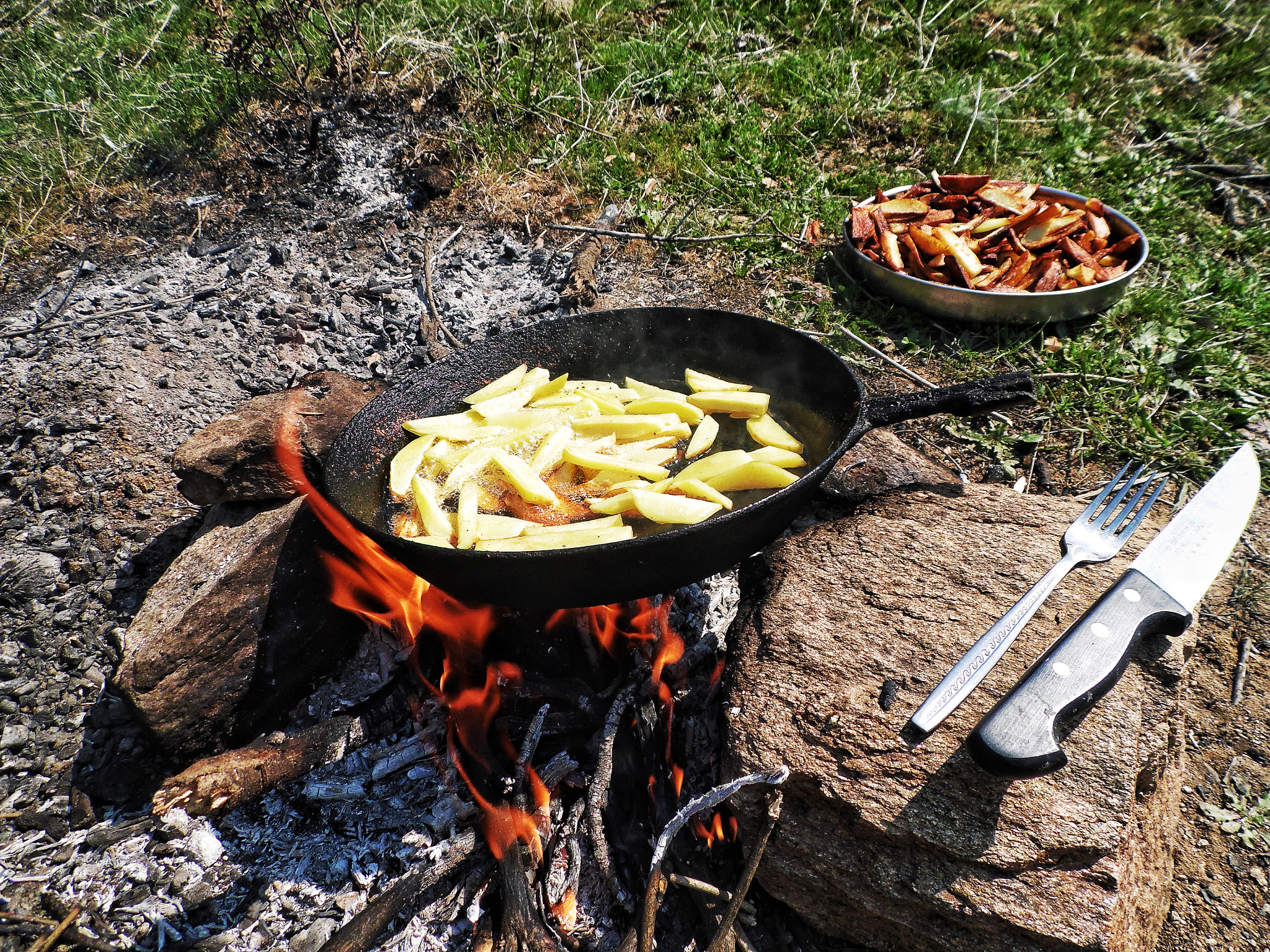 Samsung WB100/  WB101 sample photo. Fried potatoes photography