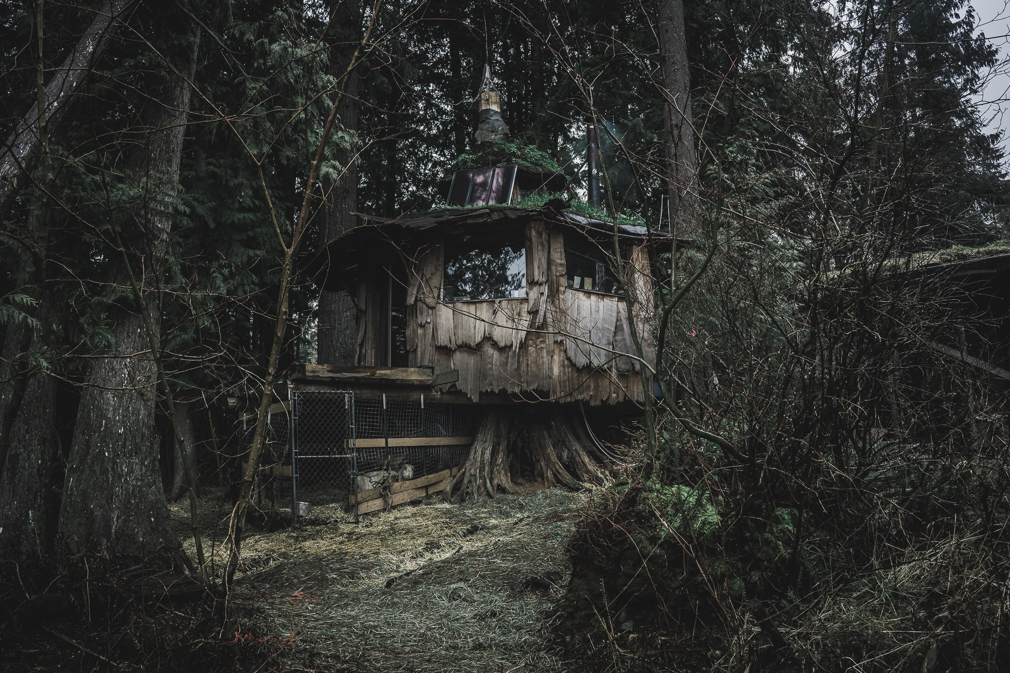 Sony a7 + Sony FE 28mm F2 sample photo. Cabin photography