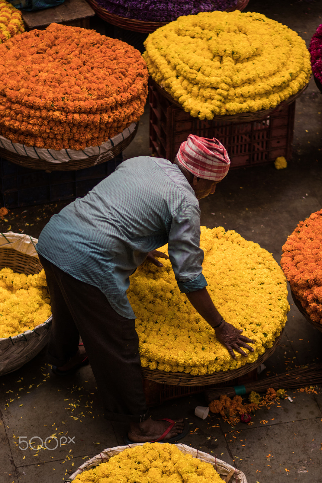 Canon EOS 80D sample photo. Kr flower market bangalore photography