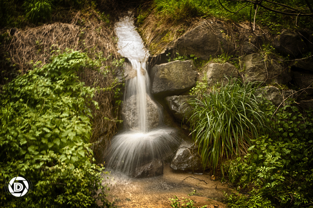 AF Zoom-Nikkor 24-50mm f/3.3-4.5D sample photo. Fontain photography