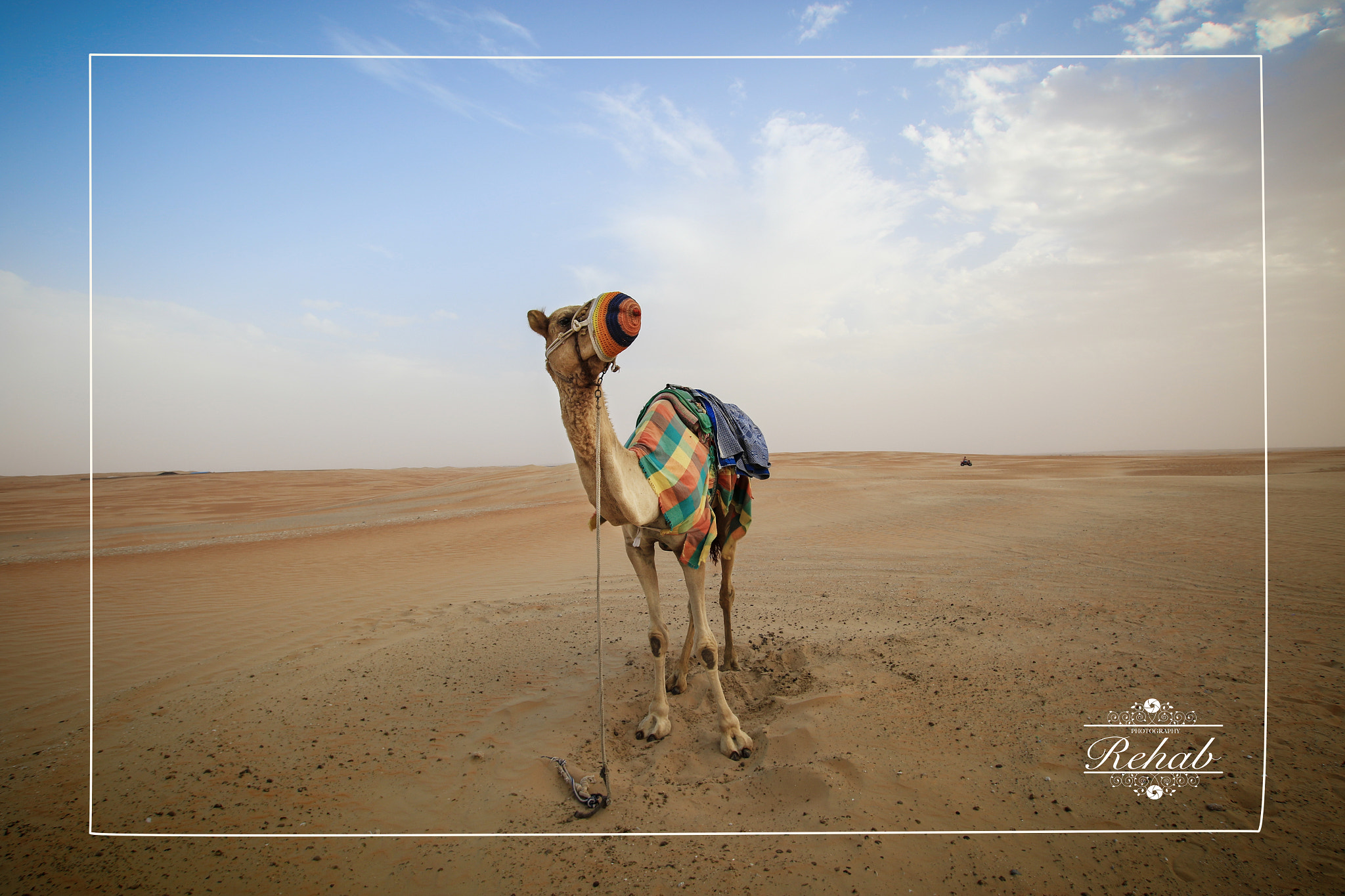 Sigma 10-20mm F3.5 EX DC HSM sample photo. Sally the camel photography