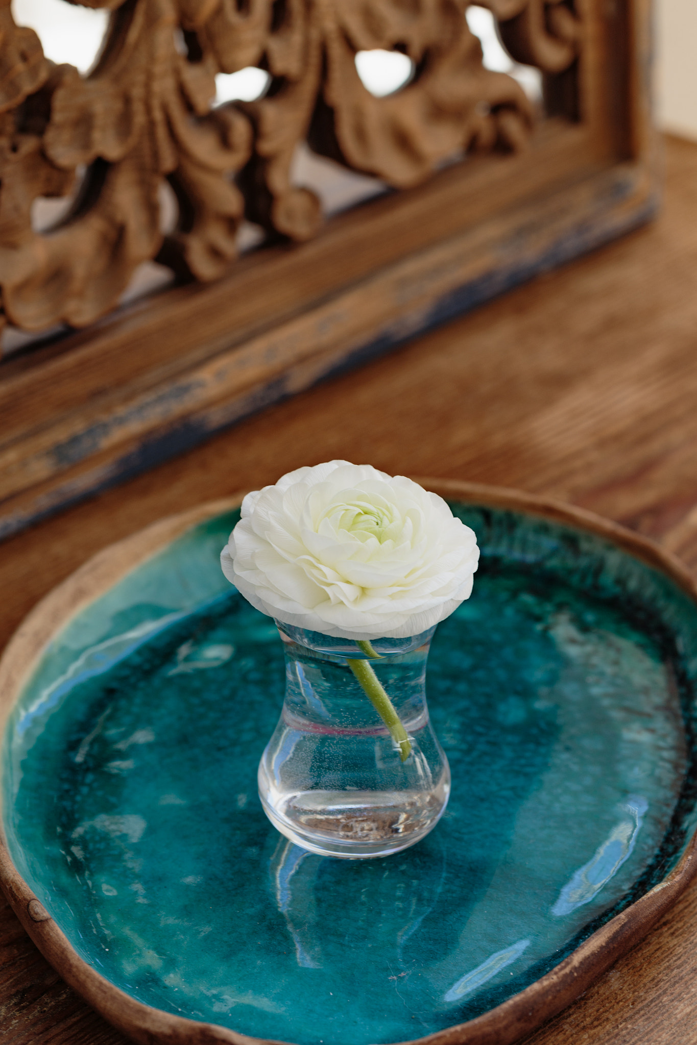 Canon EF 100mm F2.8 Macro USM sample photo. White ranunculus in glass of water photography