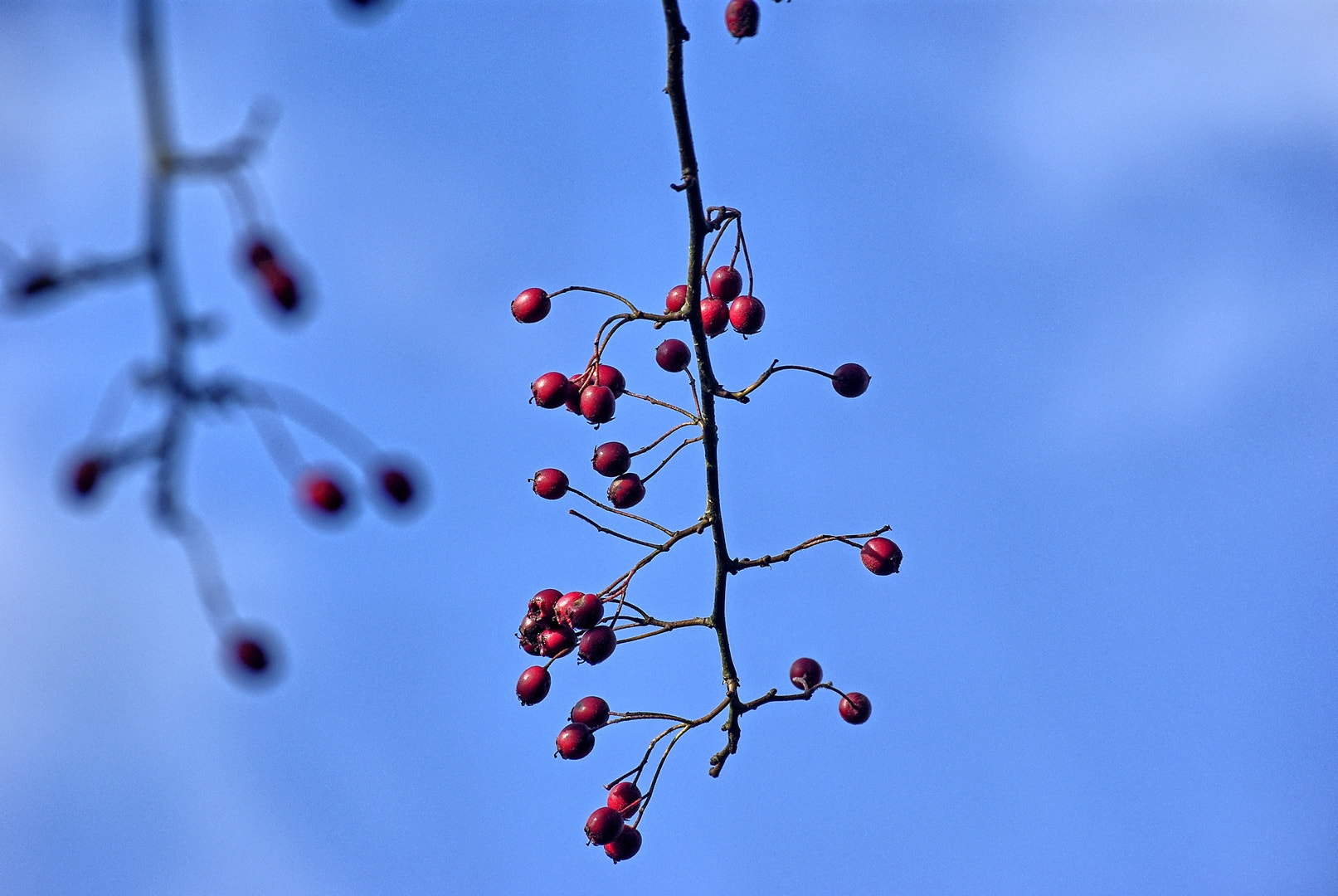 Pentax K200D sample photo. Easyhdr pro photography