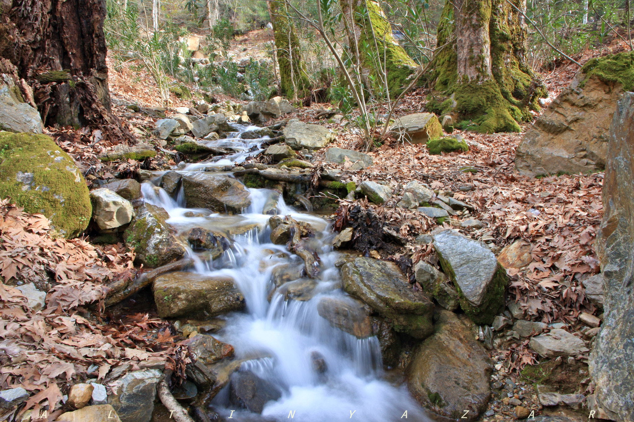 Canon EOS 40D sample photo. Alanya photography