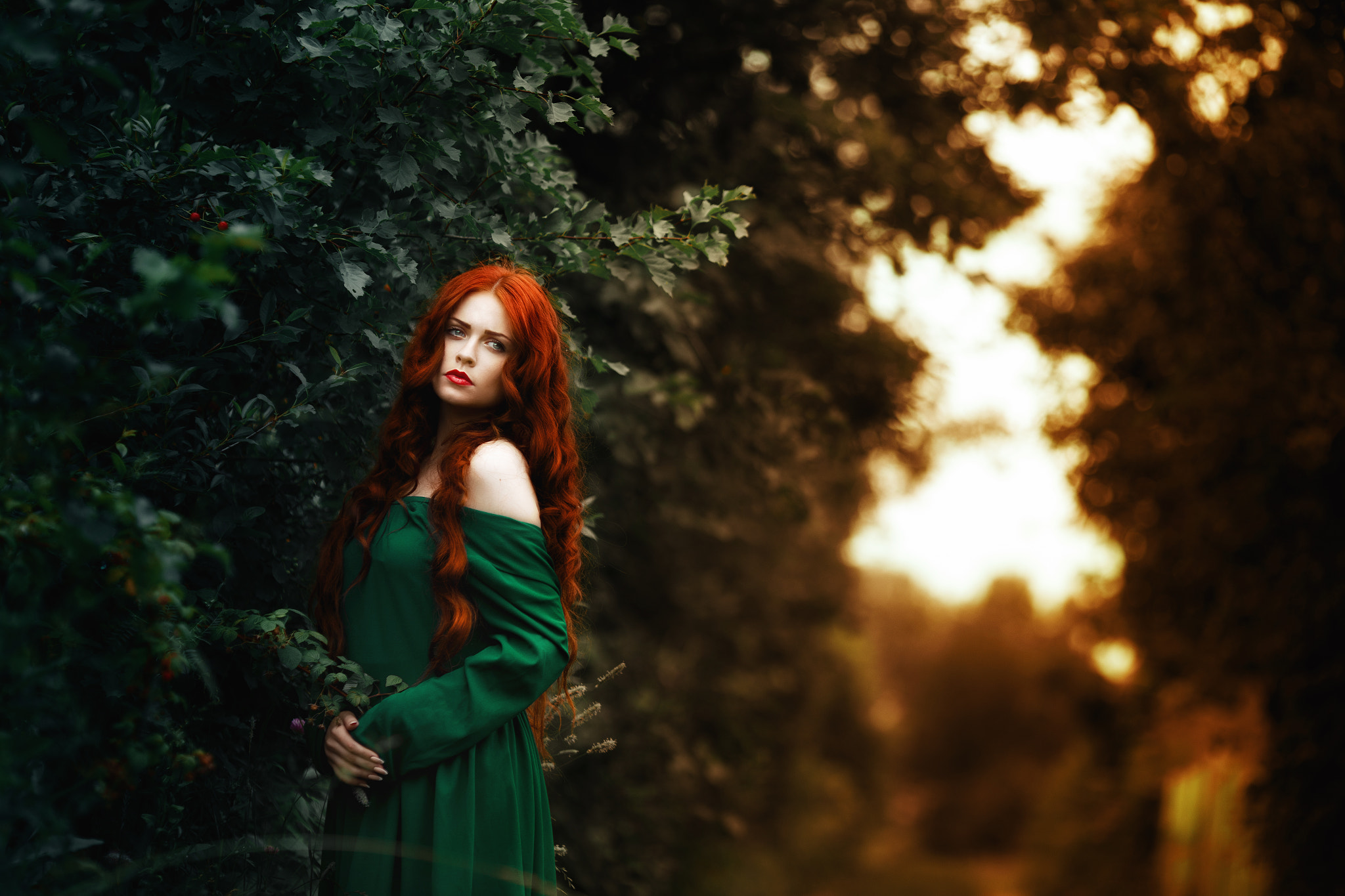 Canon EOS 6D + Canon EF 135mm F2L USM sample photo. Untitled photography