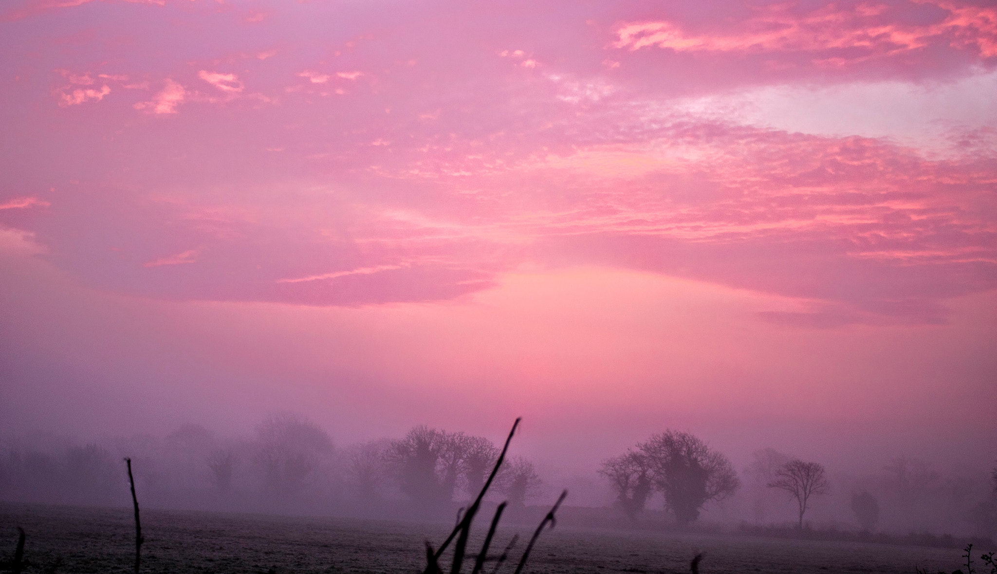 Canon EOS 760D (EOS Rebel T6s / EOS 8000D) sample photo. Foggy sunrise photography