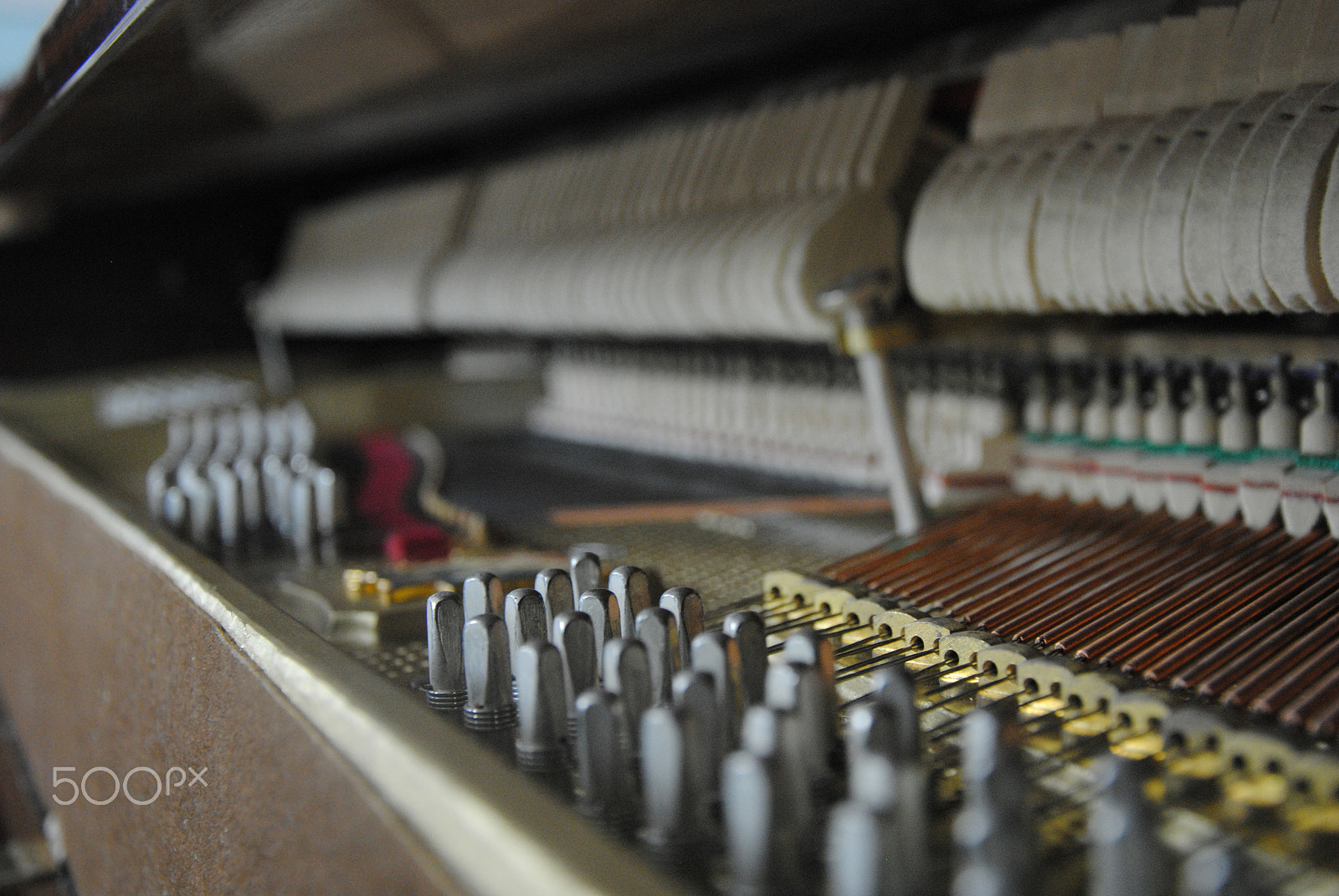 Nikon D3000 sample photo. Inside the instrument photography