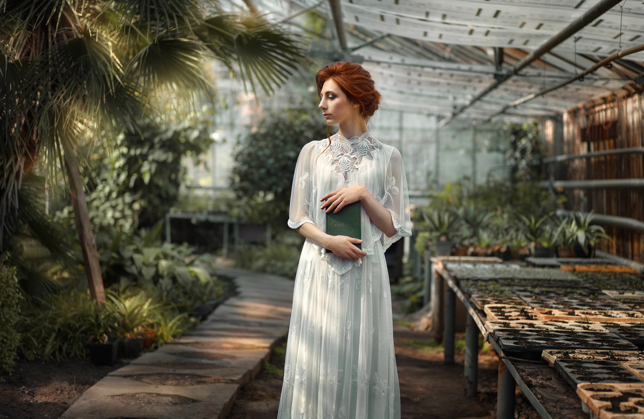 Sony a7S + Sony Sonnar T* FE 55mm F1.8 ZA sample photo. Inside the greenhouse photography