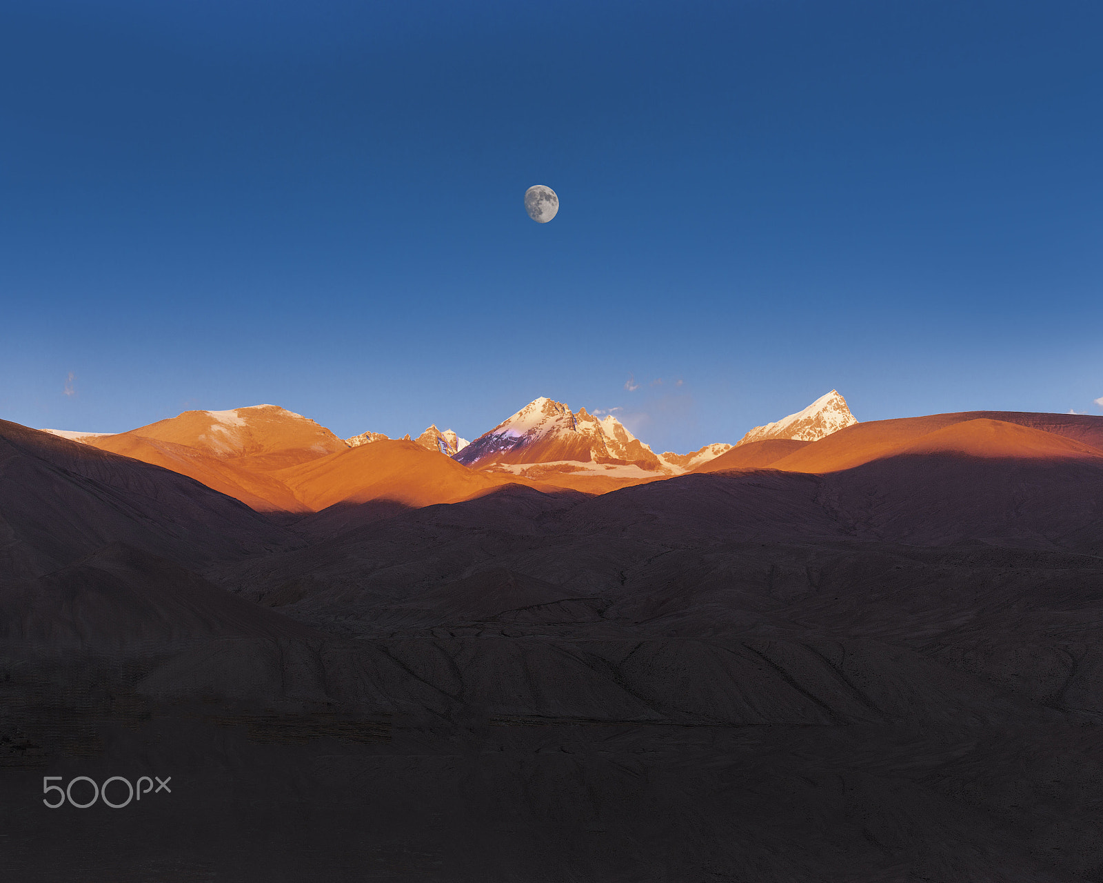 Nikon D3X sample photo. The moon photography