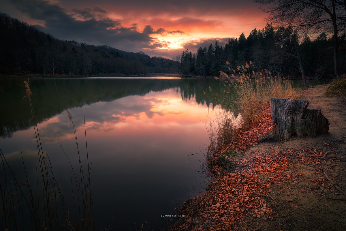 Nikon AF-S Nikkor 18-35mm F3.5-4.5G ED sample photo. Towards the end of the day photography