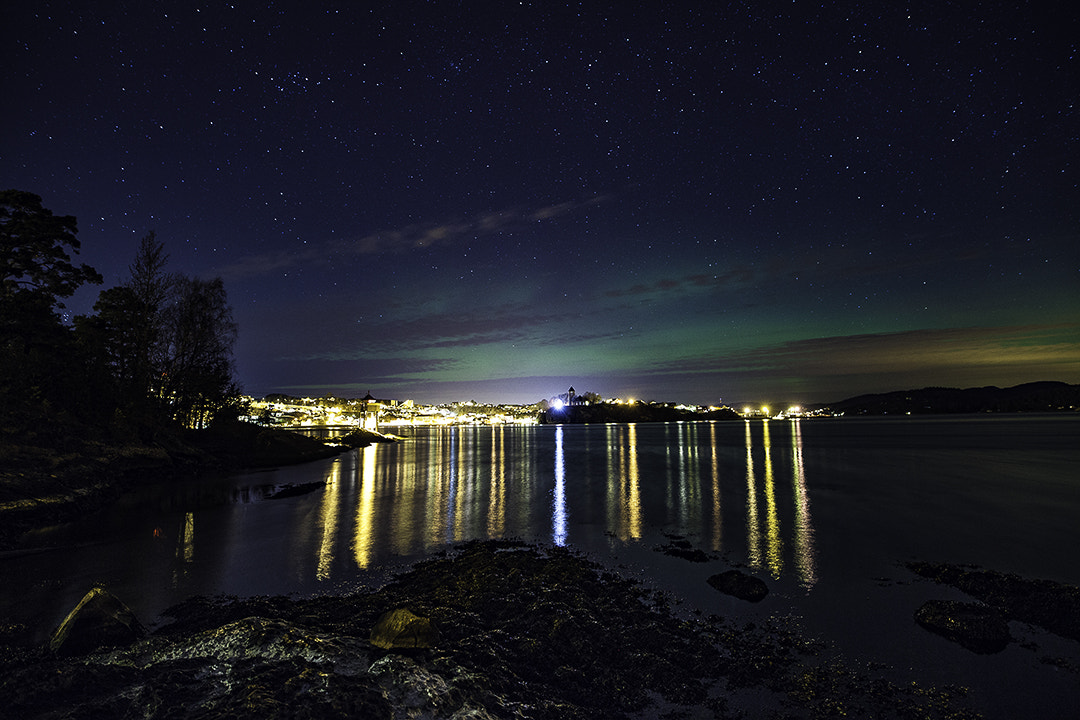 Canon EOS 5D Mark II + Sigma 20mm F1.4 DG HSM Art sample photo. Northern lights photography