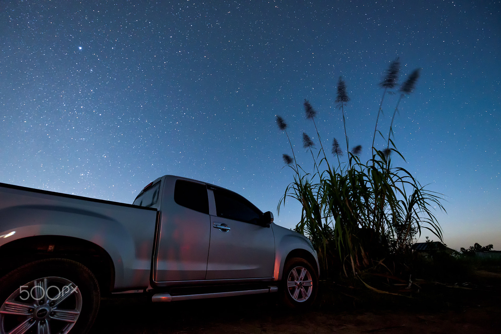 Nikon D750 + Tamron SP 15-30mm F2.8 Di VC USD sample photo. Pickup truck is parking near sugarcane tree under the night sky. photography